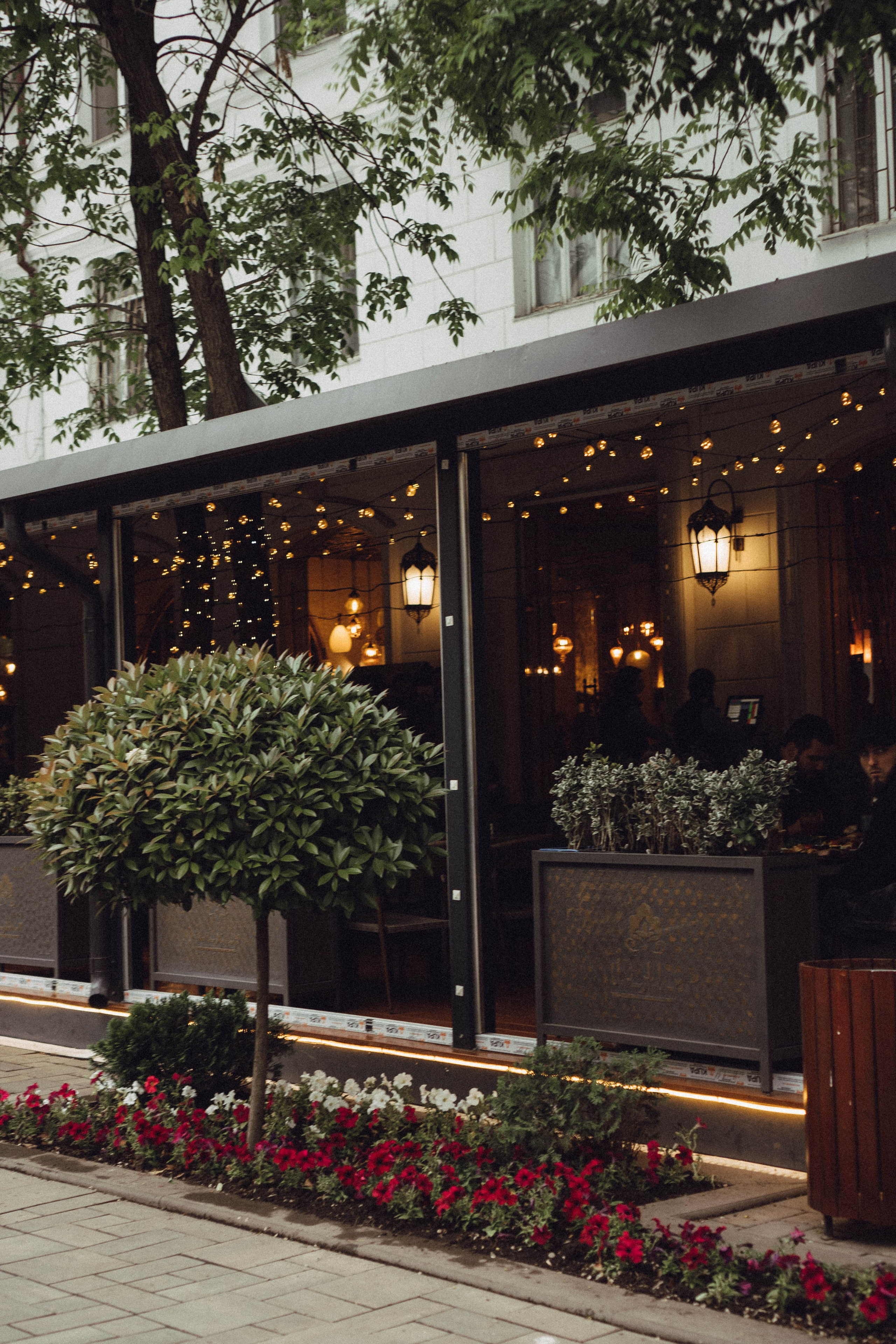 Кавказ. Профессиональный фотограф, Санкт-Петербург — Виктория Богомолова