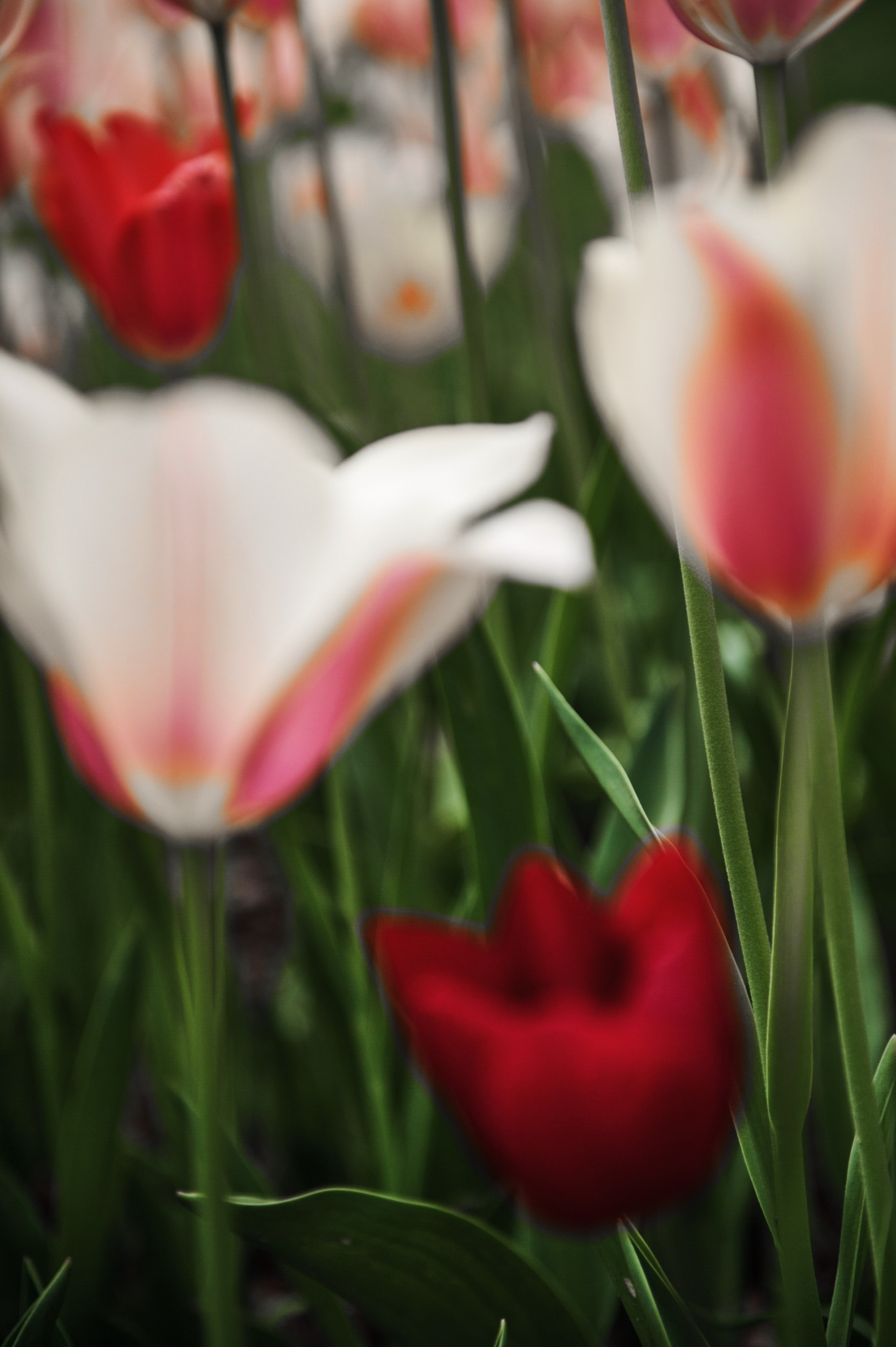 Документальная фотография — проект «Стамбул многоликий» | Дмитрий Тарасов. Репортажный фотограф в Москве — Дмитрий Тарасов | Съёмка мероприятий, концертов, корпоративов