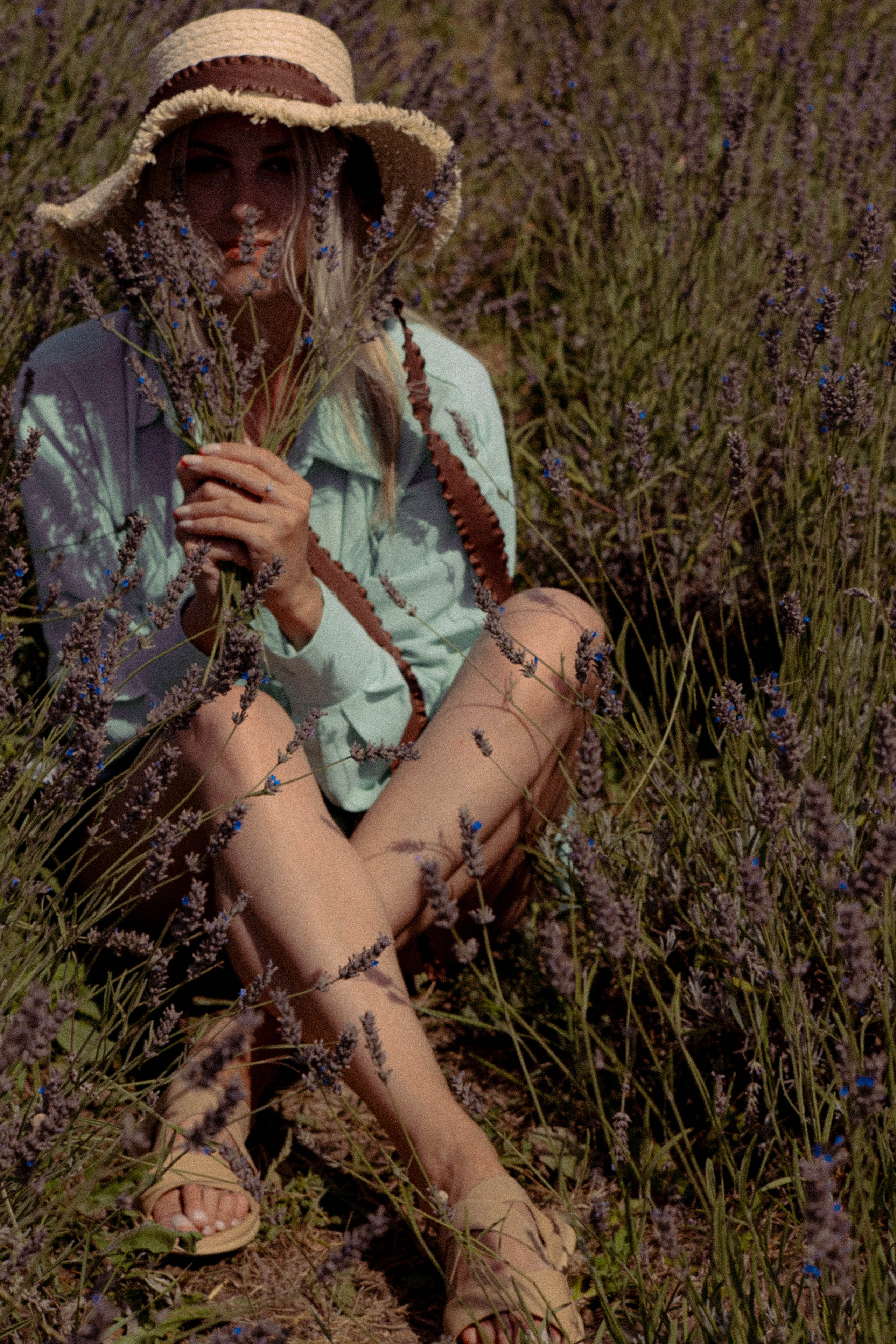 ЛАВАНВОДОВОЕ ПОЛЕ. Профессиональный фотограф, Санкт-Петербург — Виктория Богомолова