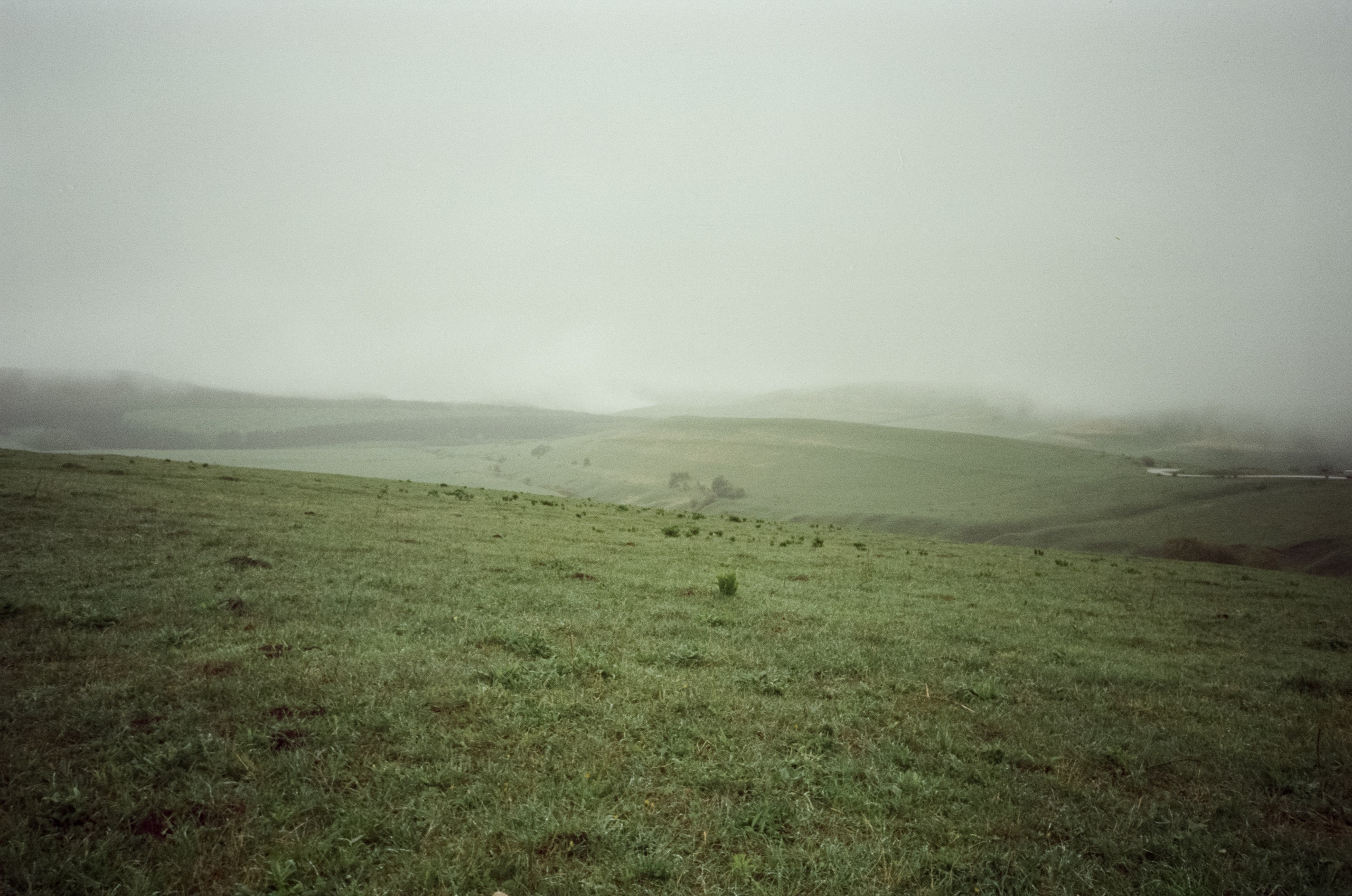 Дорога на Джилы-Су в дождливое утро. Туман. Фотограф-документалист Мария Осокина