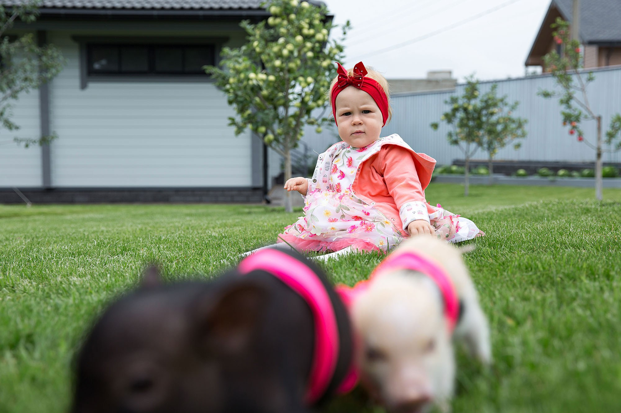 Детские праздники или дни рождения. Фотограф в Москве Валерий Боцман