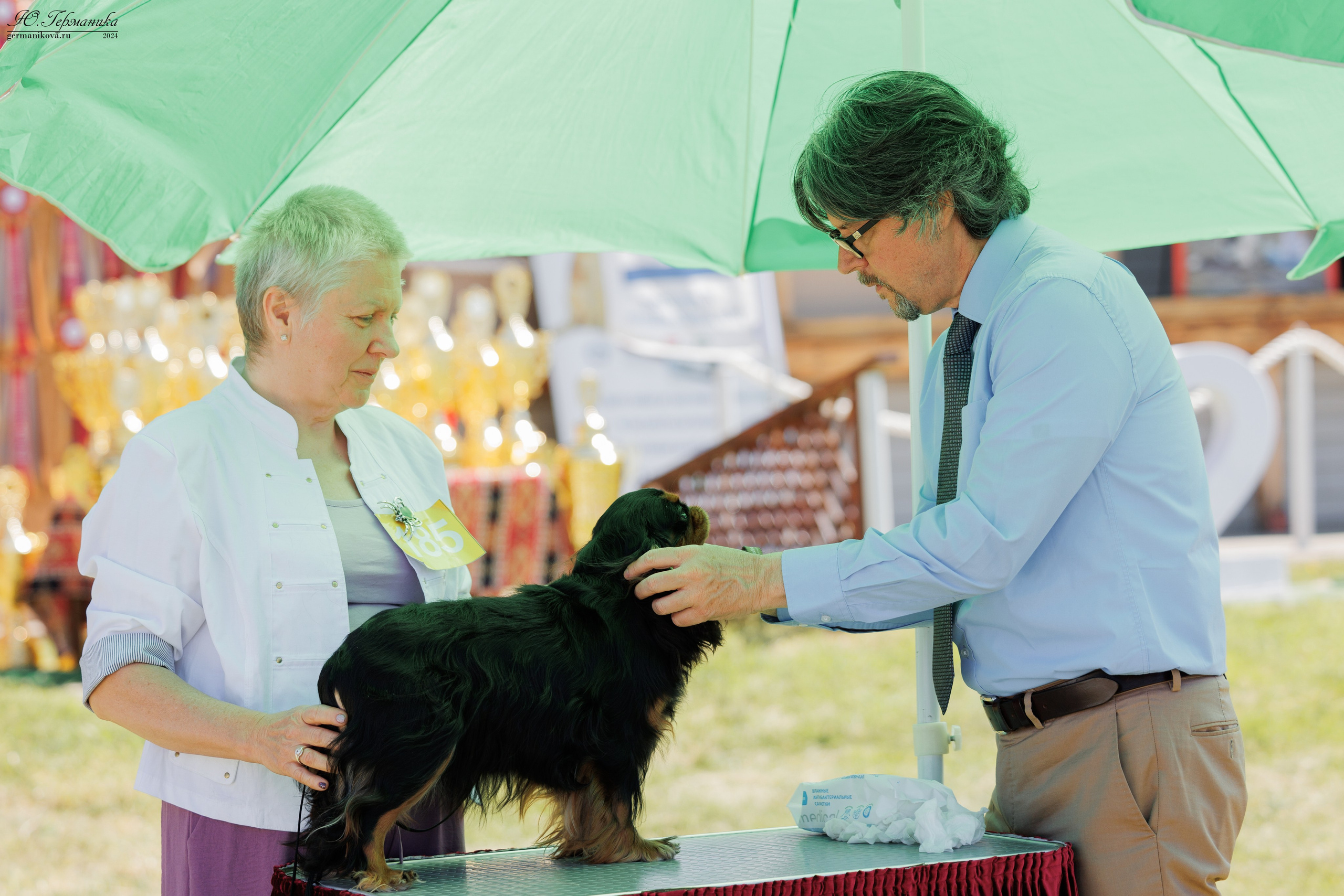 Ереван 3-5.06.2024. Фотограф-анималист Юлия Германика