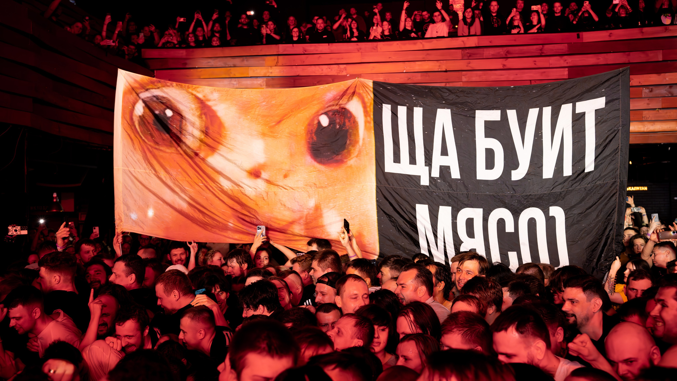 Пневмослон, клуб BASE, 22.03.2025. Ваш репортажный фотограф