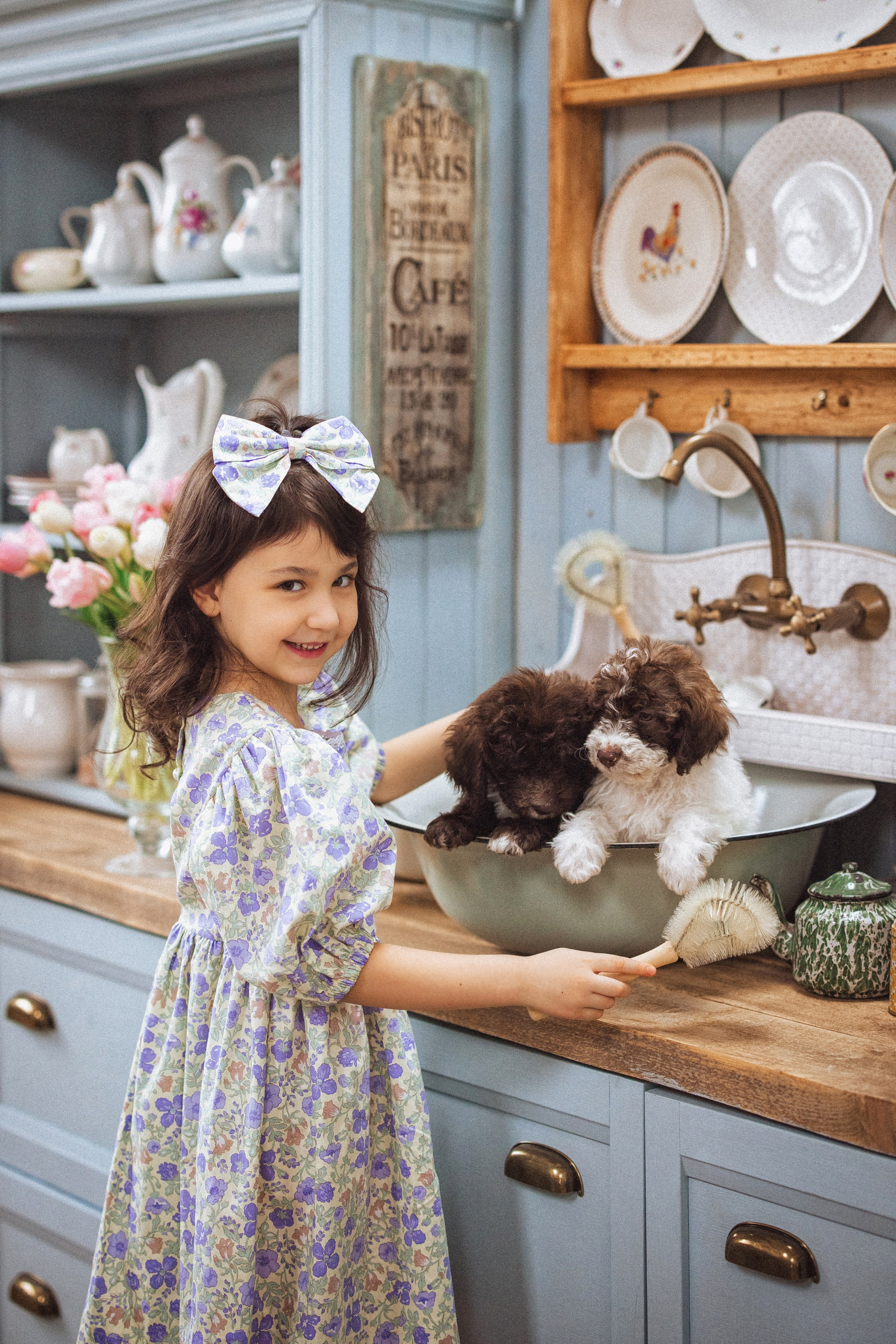 Фотосессия с щенками Лаго́тто-романьо́ло, в Винтажной фотостудии город Краснодар. Семейный и детский фотограф в Краснодаре Анна Трашкова