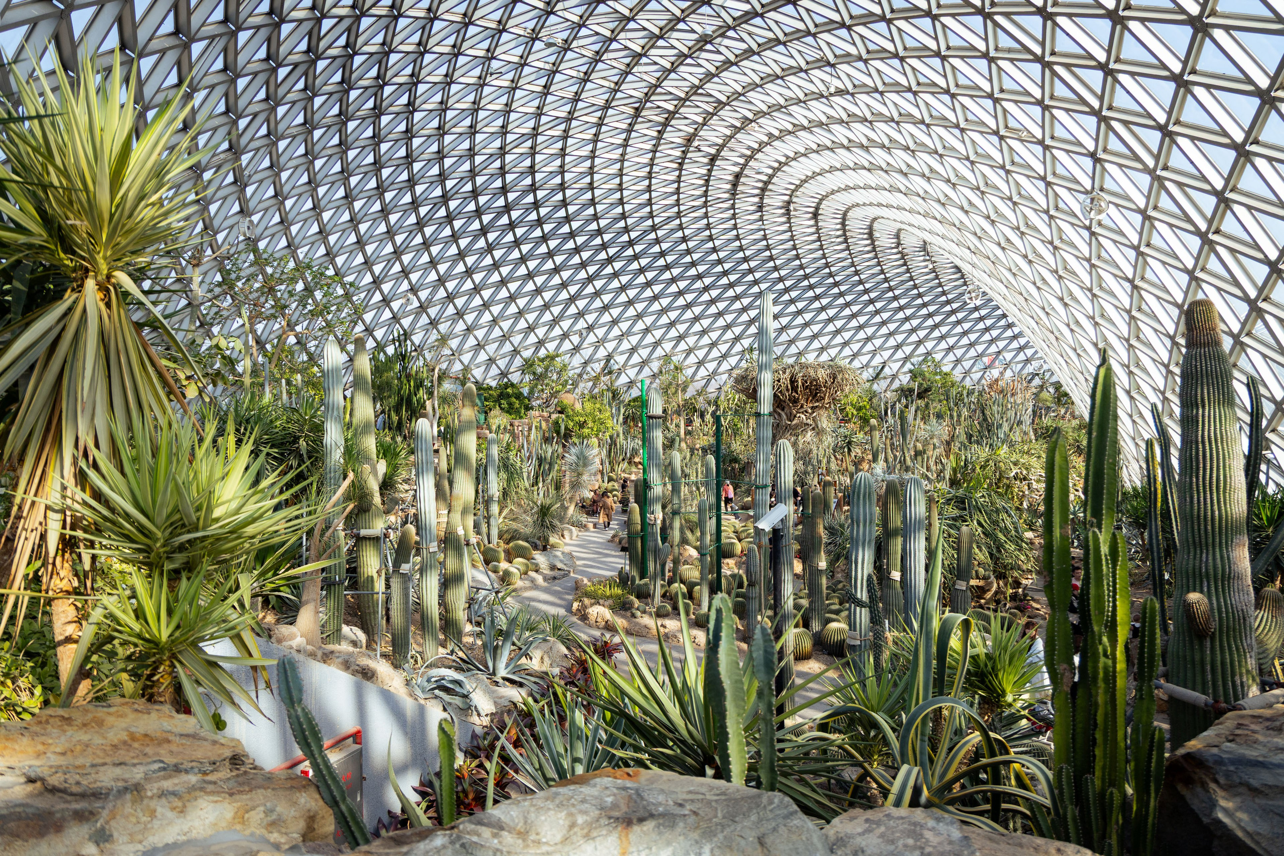 Шанхай (март 2026). Фотограф Виноградов Константин