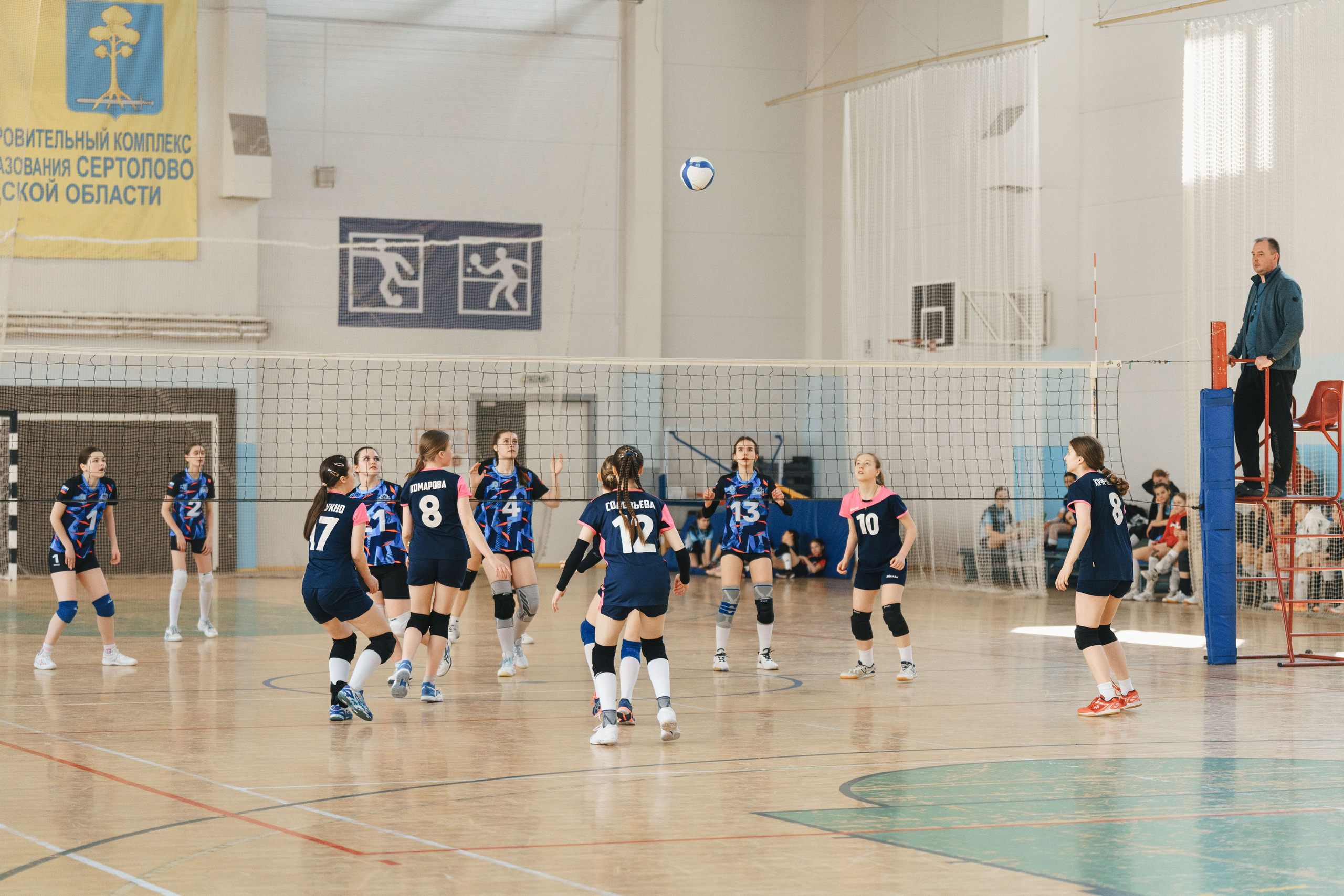 Волейбол торус. Фотограф-анималист в Санкт-Петербурге