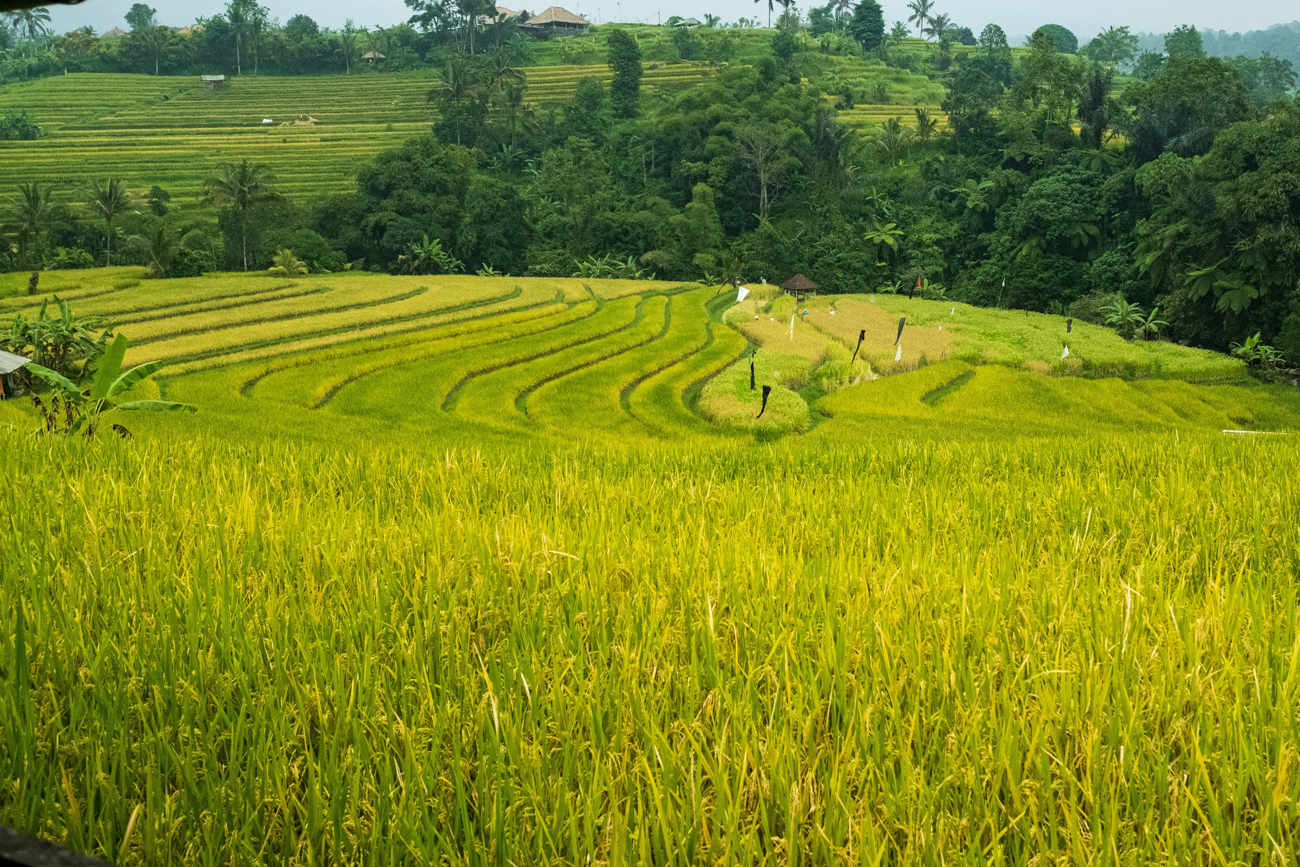 Остров Бали. Фотографии из путешествий