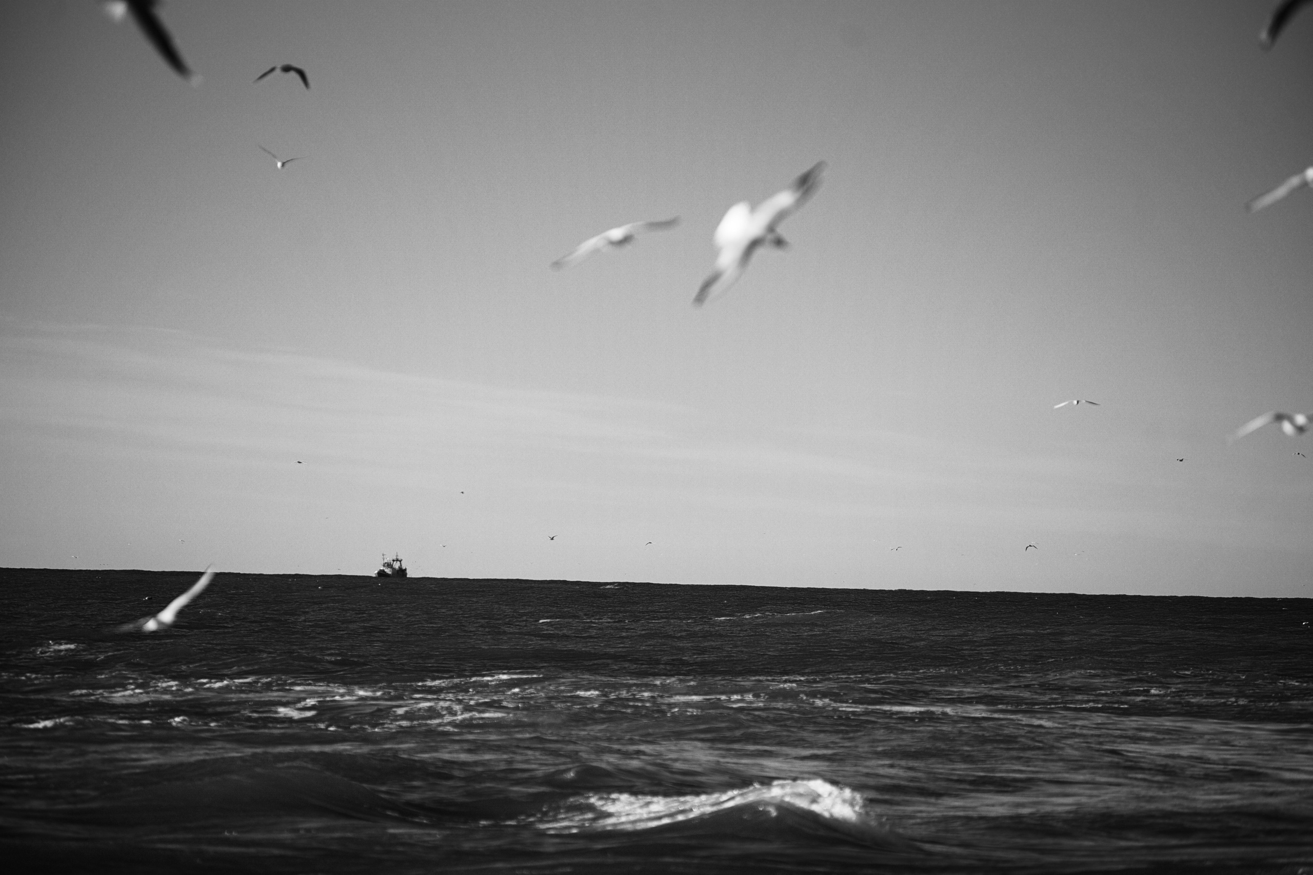 Monohrom. Anastasia Serdyuk, travel photographer, travel photo, portraits, stories, fineart prints