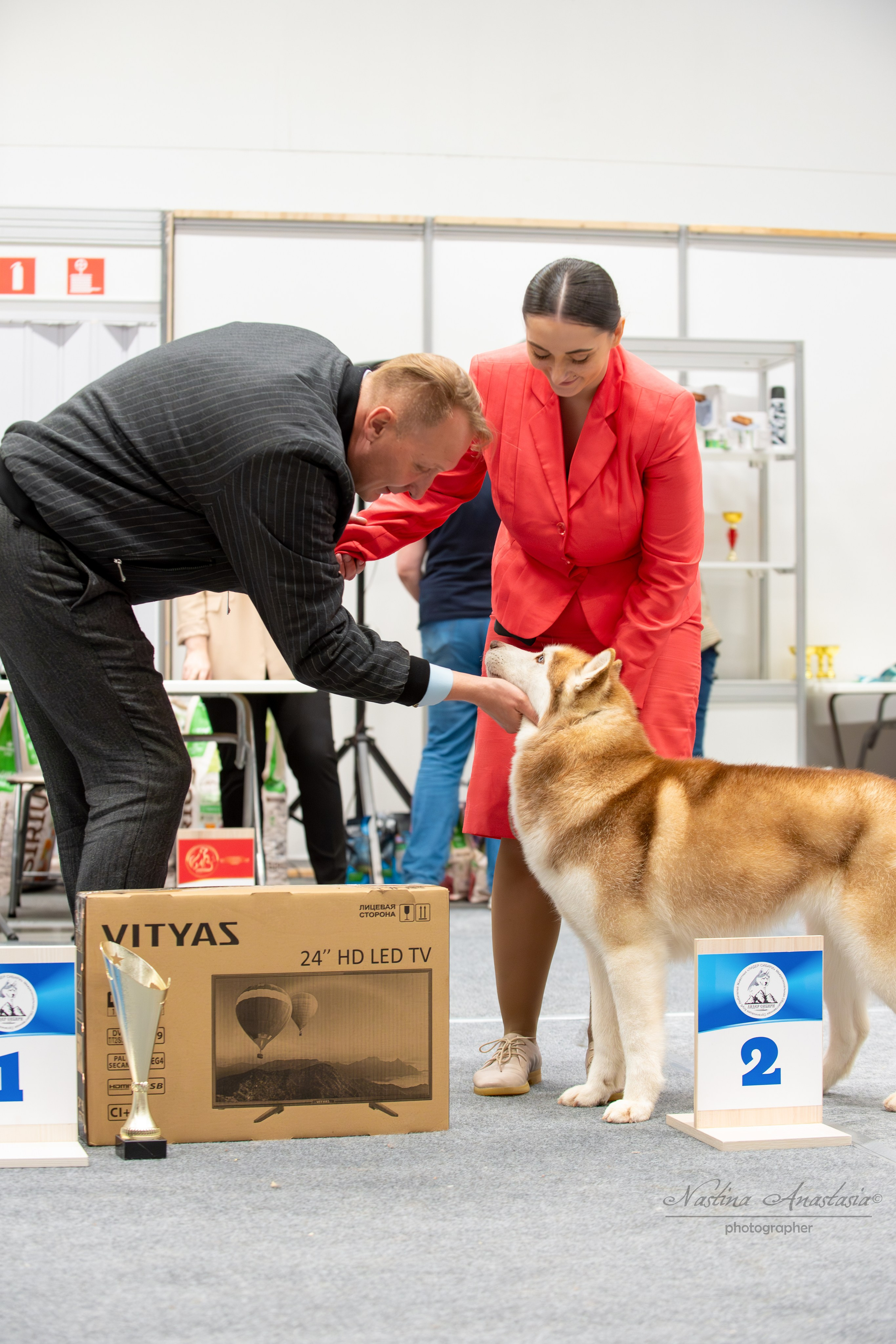 Выставки. Фотограф — Анималист