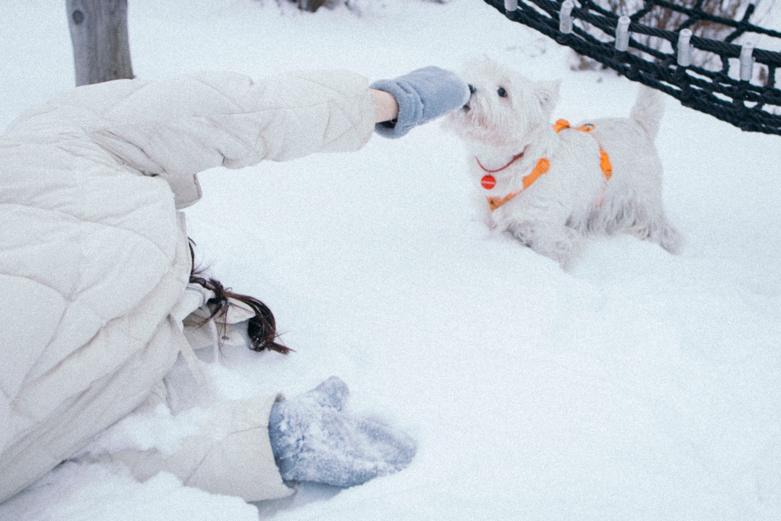 Арина и Обеликс. Фотограф Виктория Куприянова