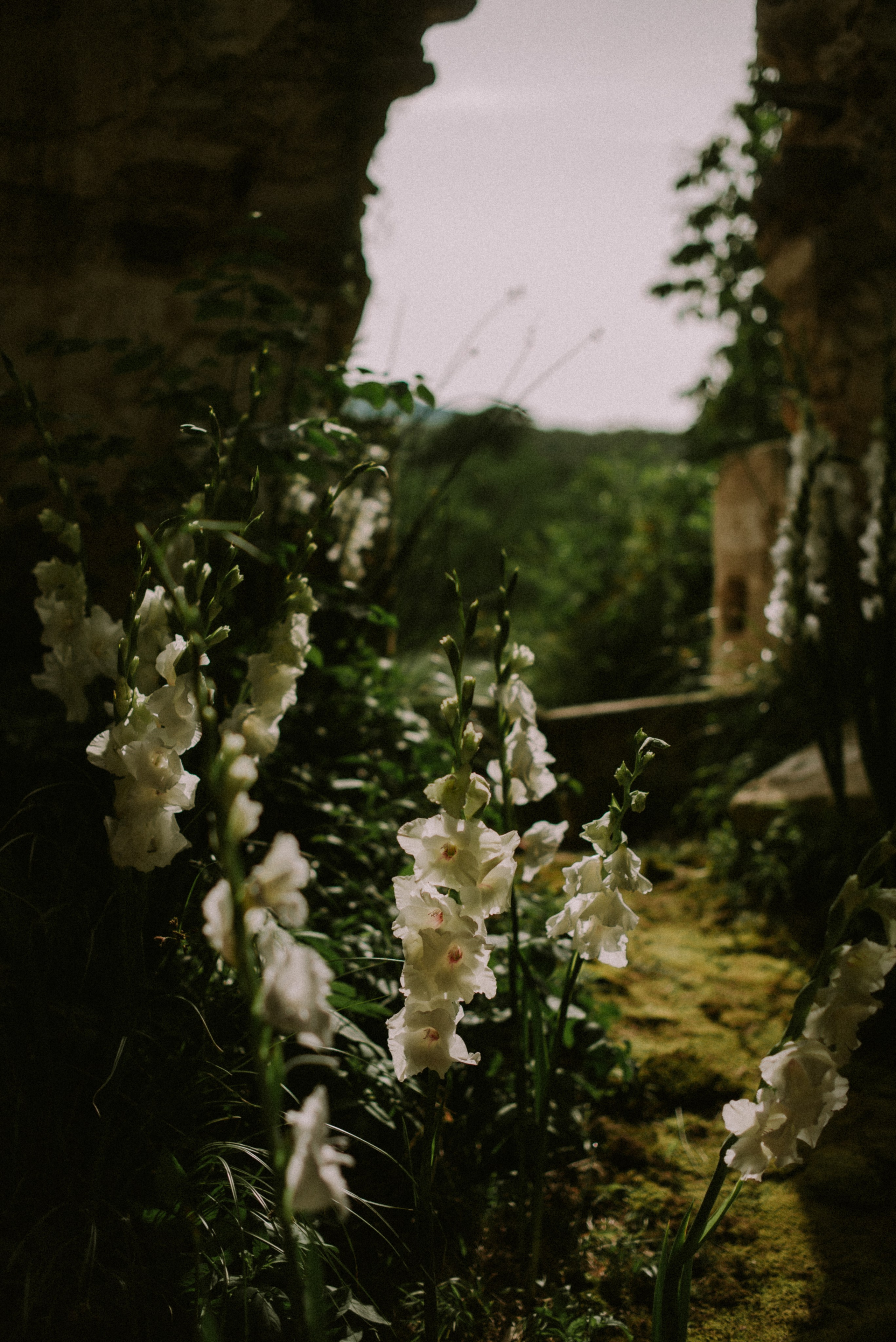 Антон и Надежда. Свадебный, женский, семейный фотограф в Севастополе Юлия Мошенко