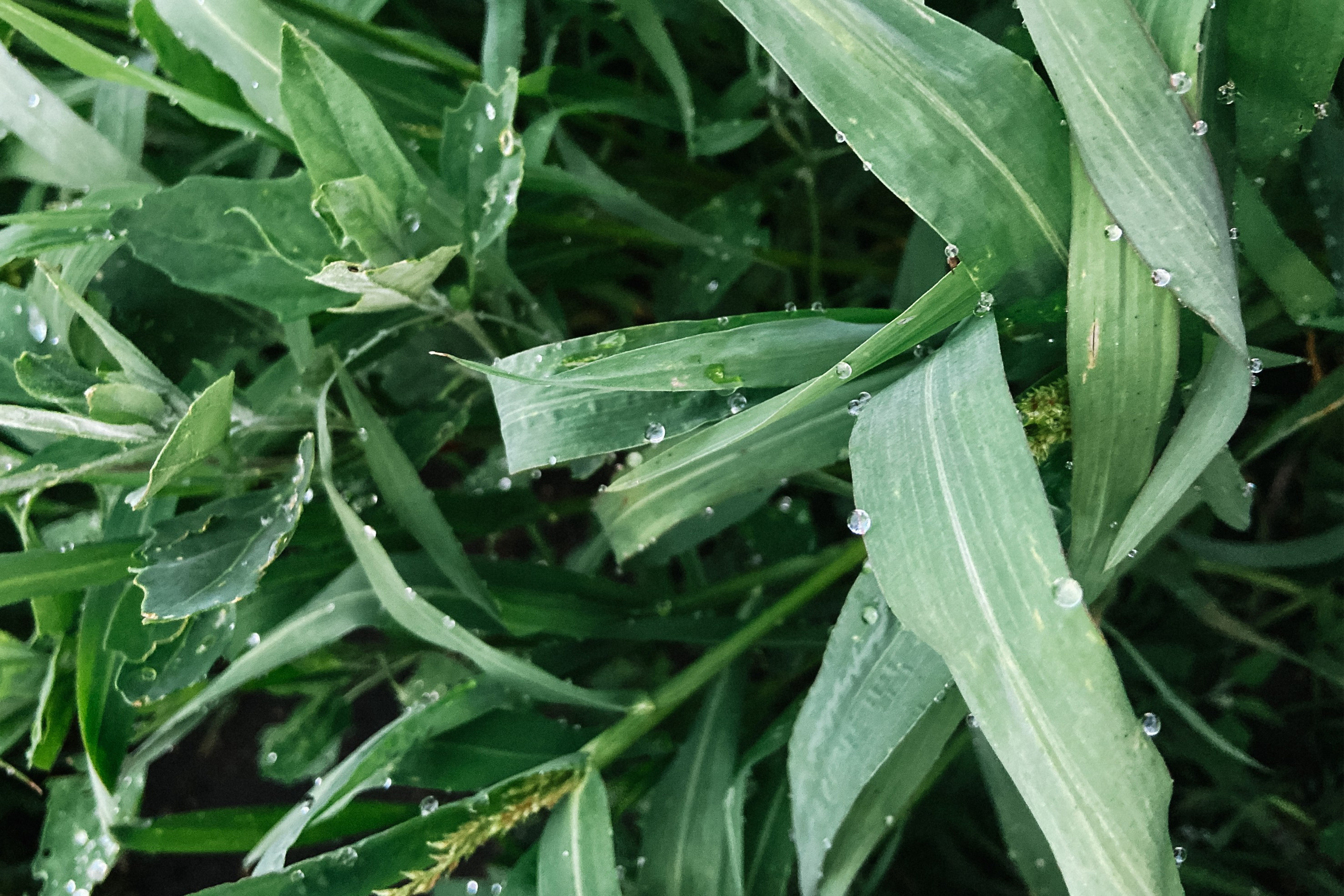 Природа. Команда фотографов Кристины Ивановой