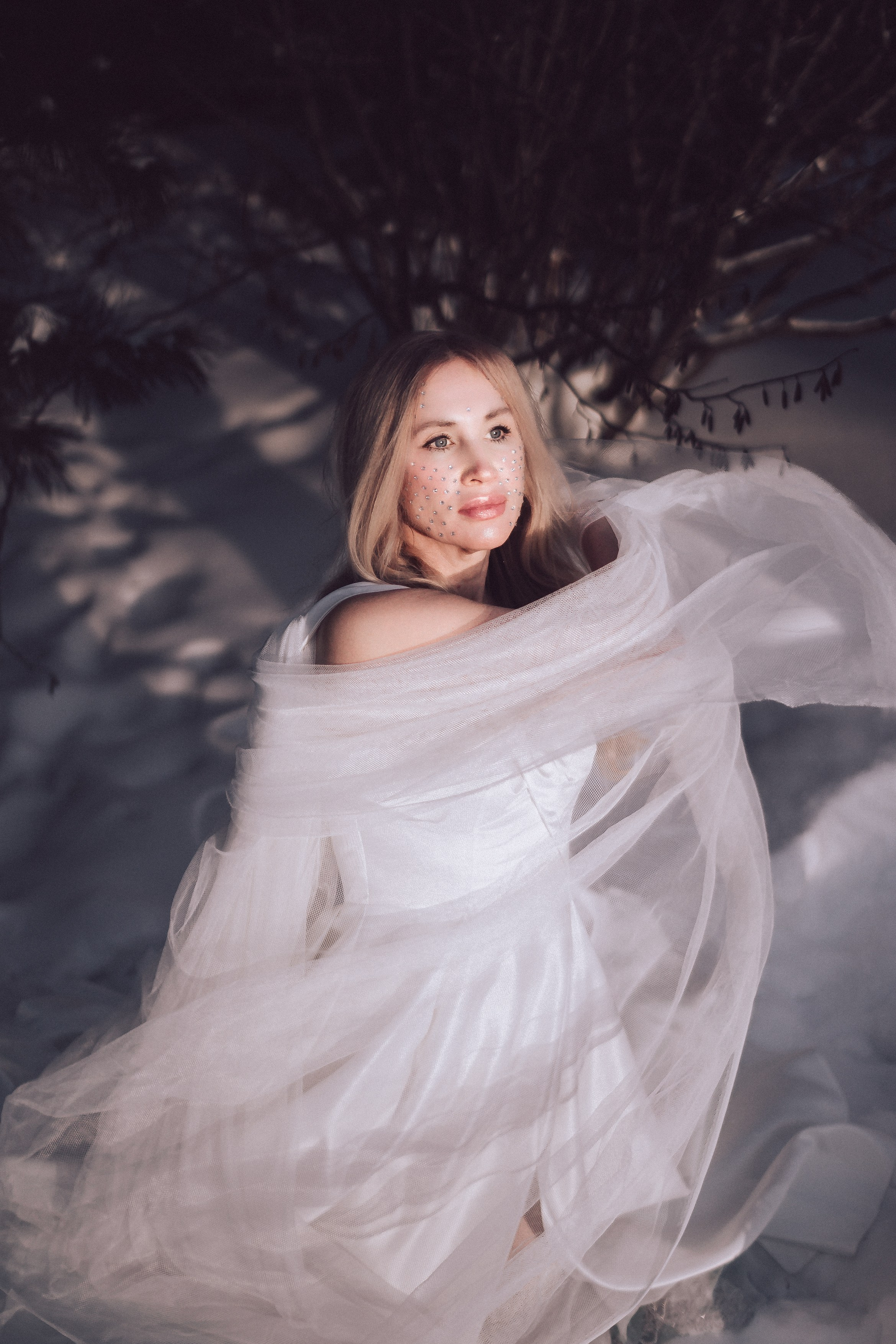 Царевна Лебедь. Светлана Аброщикова