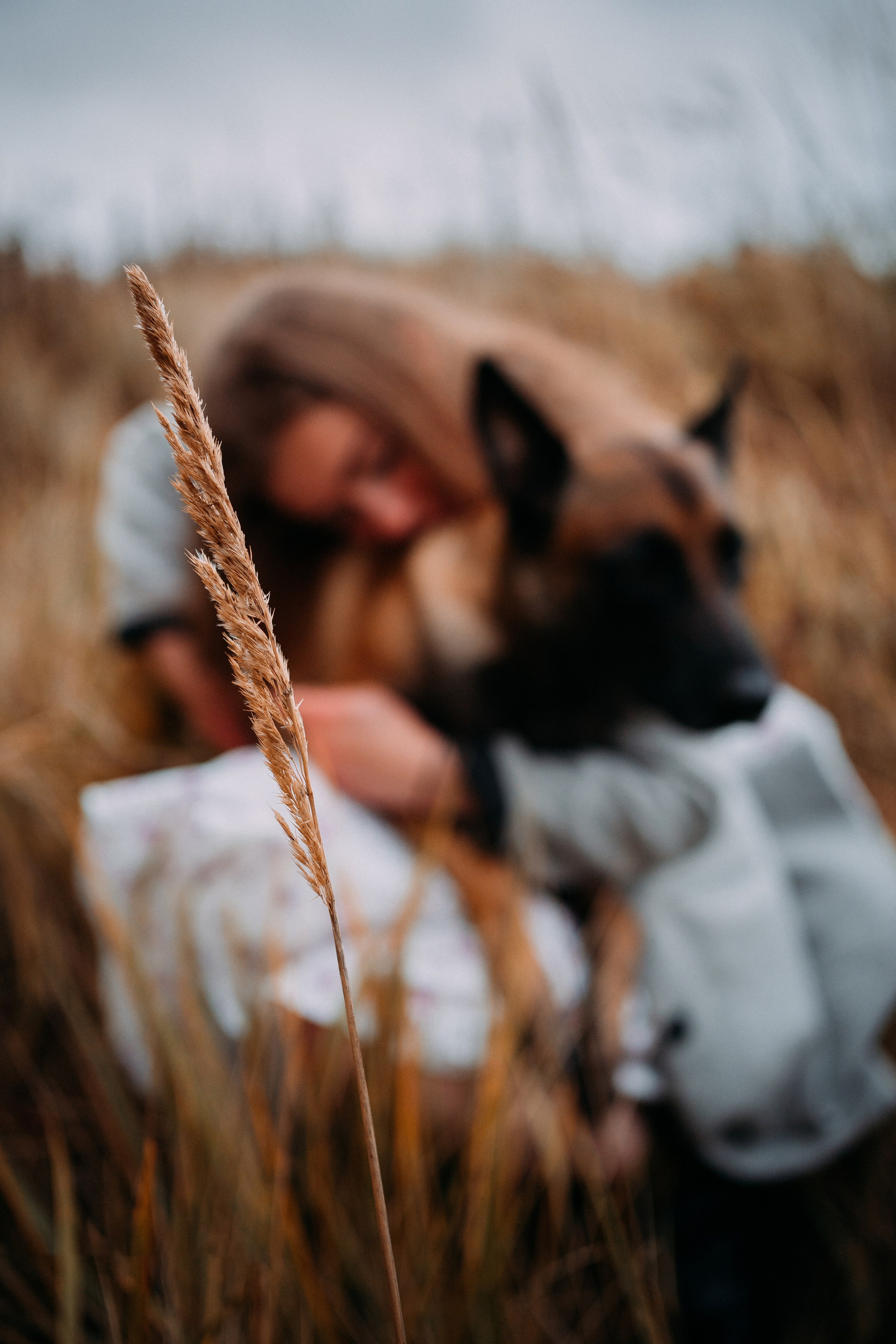 Вика и Хельс. Фотограф-анималист Анастасия Большакова