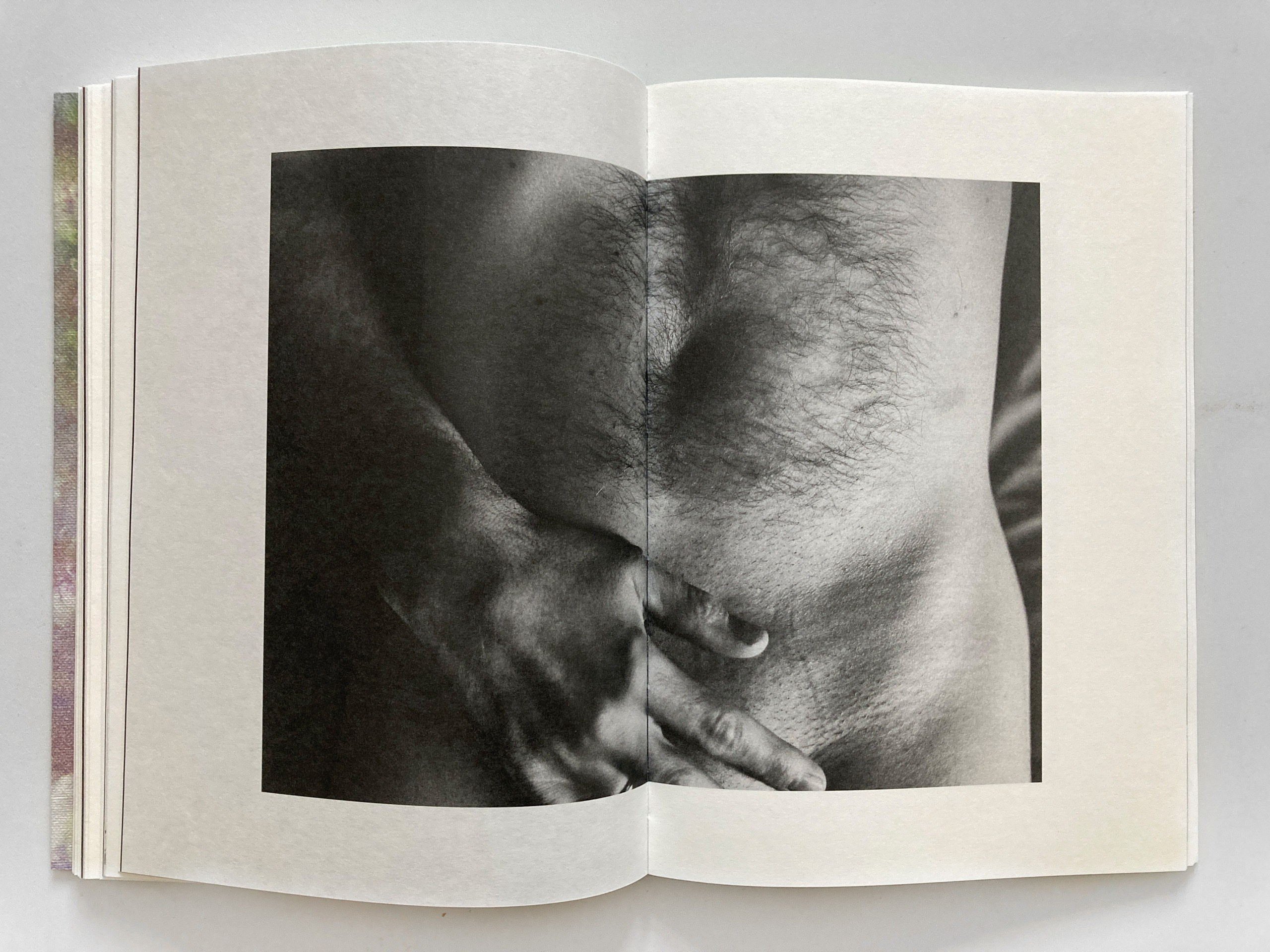 ОБЗОР АКТУАЛЬНЫХ ФОТОКНИГ: САД ЗЕМНЫХ НАСЛАЖДЕНИЙ. Самоорганизация Низина