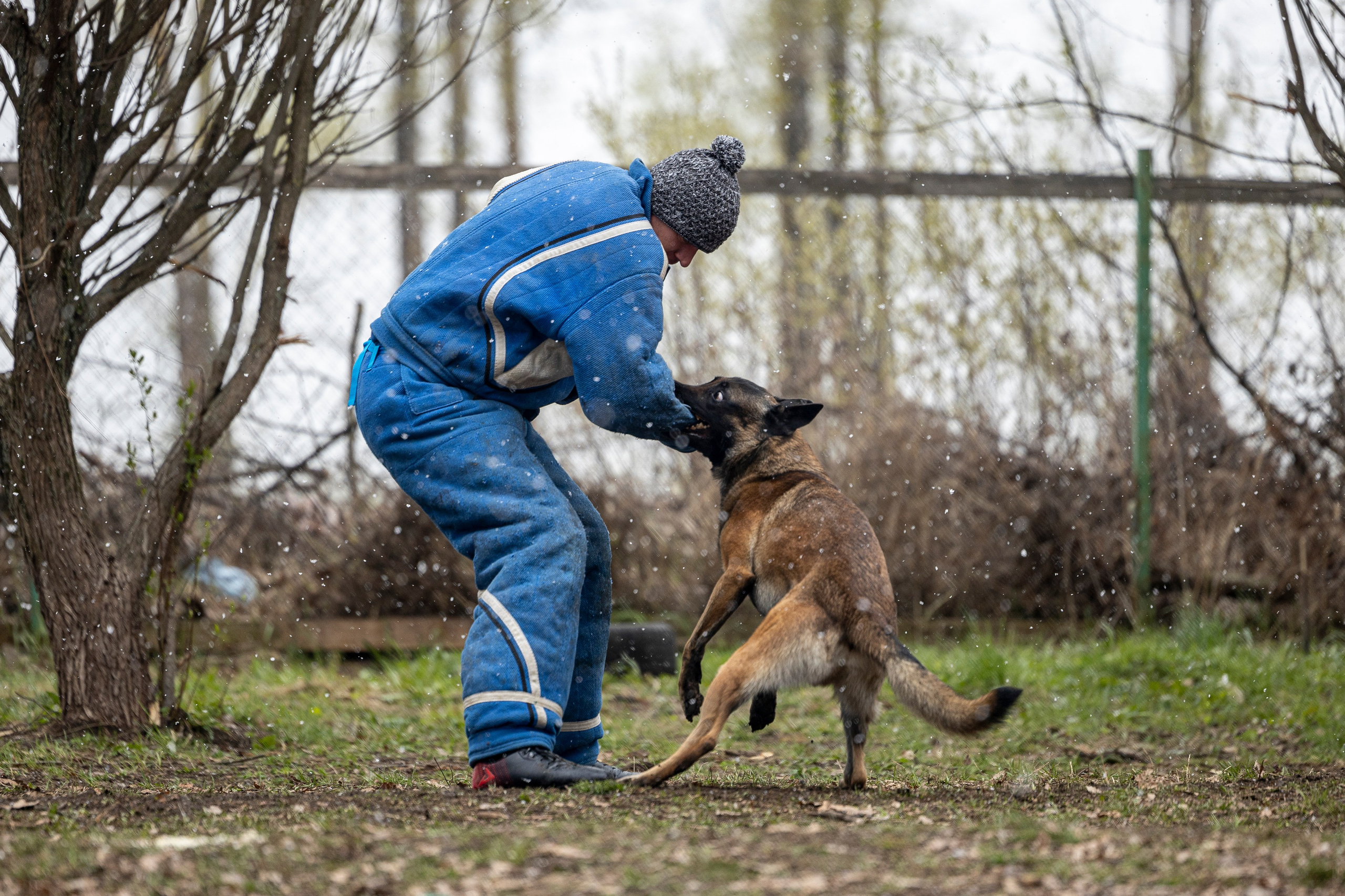 Квалификационные состязания по мондьорингу г. Вологда 11.05.24. Фотограф-анималист Анна Маринич