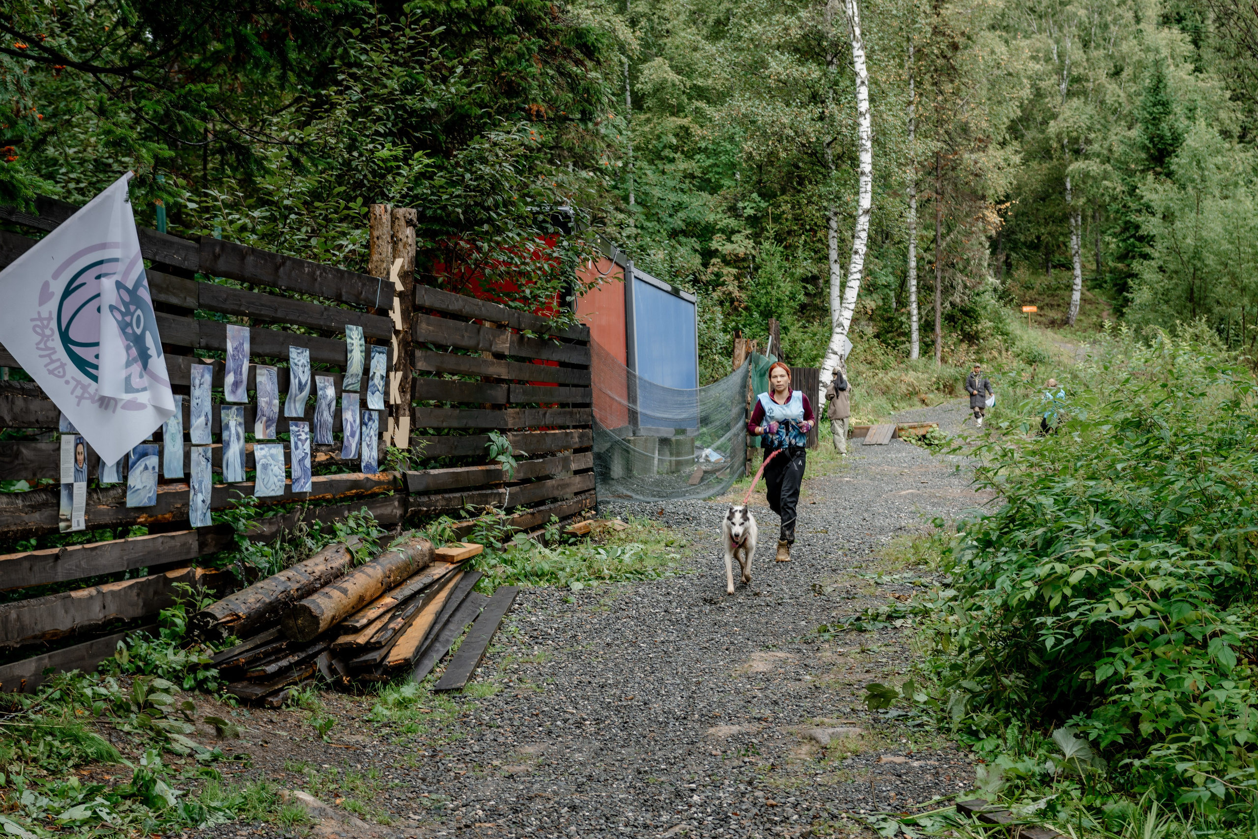 Дог-треккинг