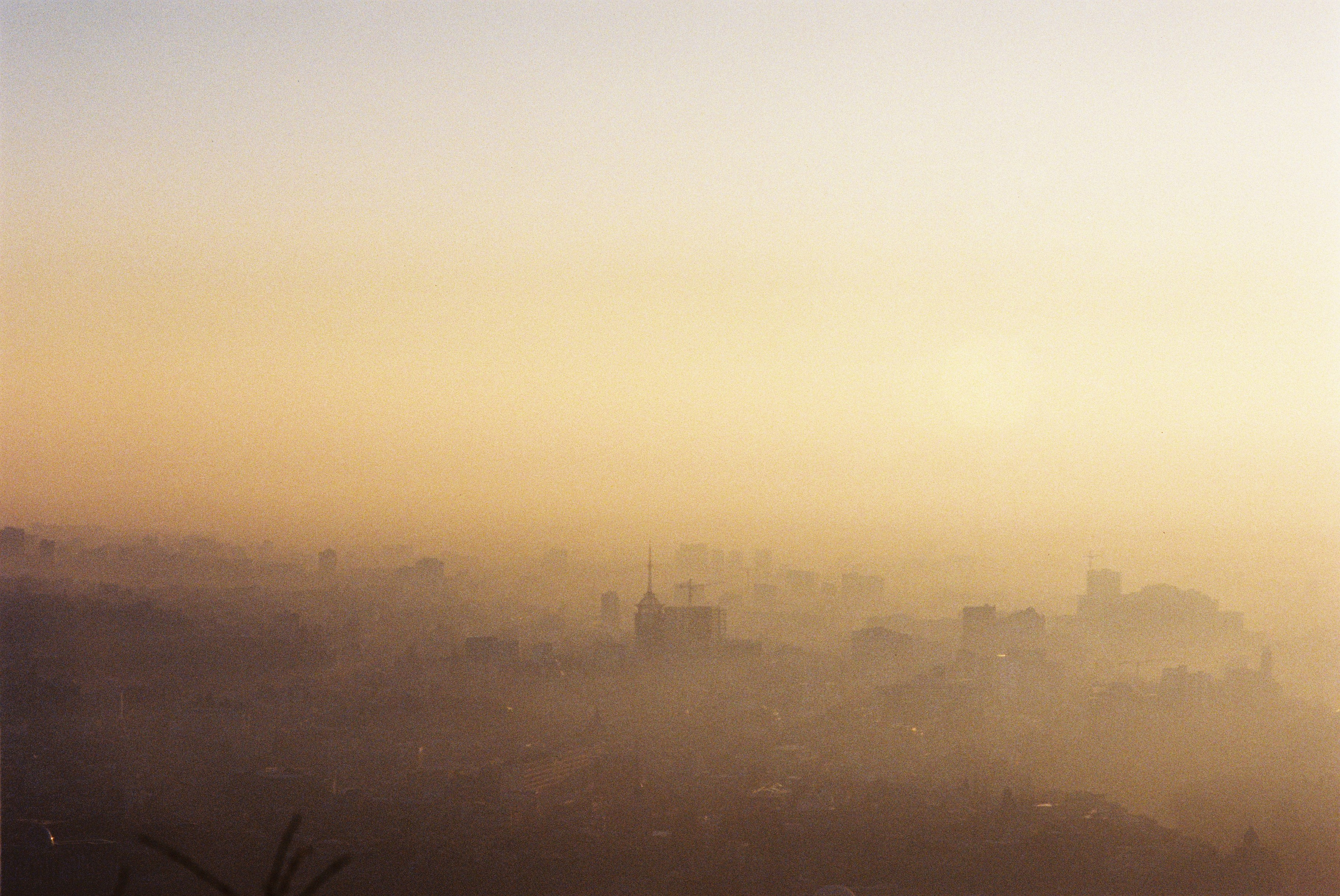 ON THE GO. Сocoobird || Атмосфера твоего бренда в снимках и видео