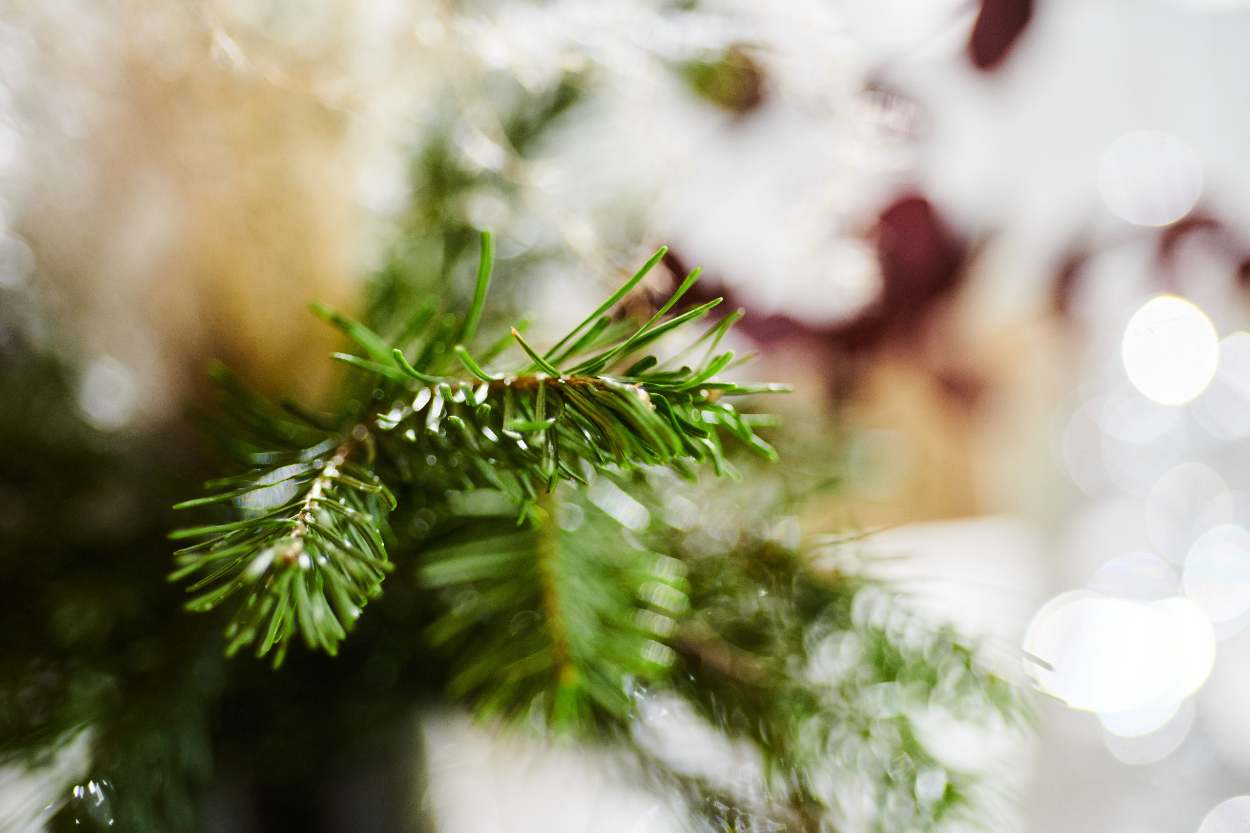 НОВЫЙ ГОД. Фотограф Роман Арыкин Екатеринбург