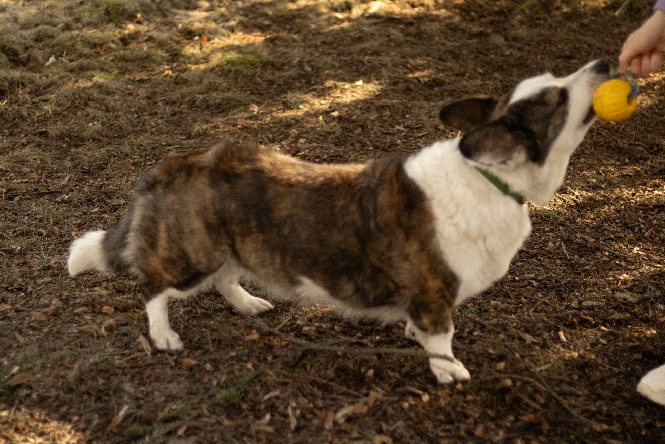 Юлия и Тэя. Катя Попова|ЛайфСтайл фотограф