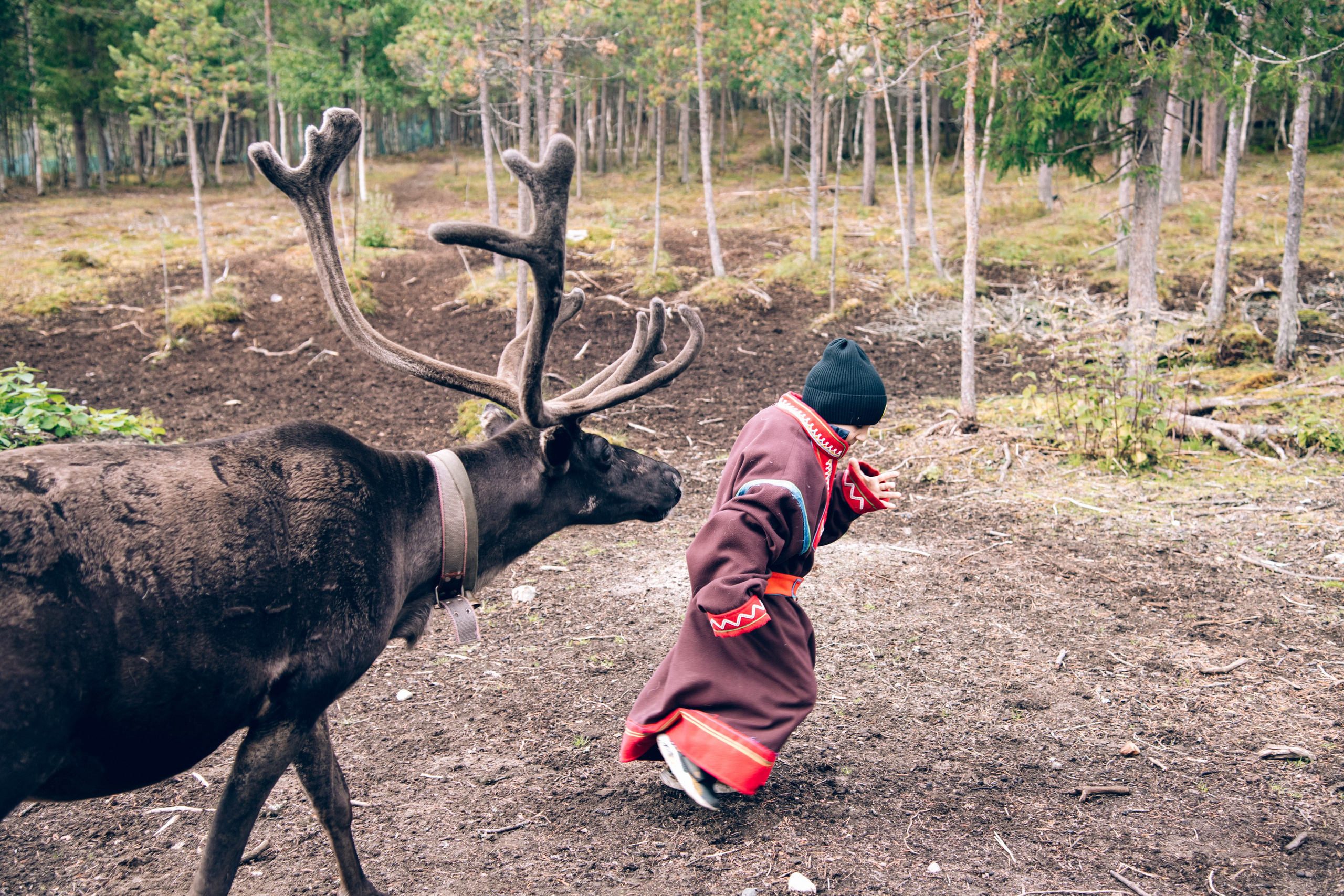 Кольский полуостров. Фотографирую для себя, своей семьи и друзей!