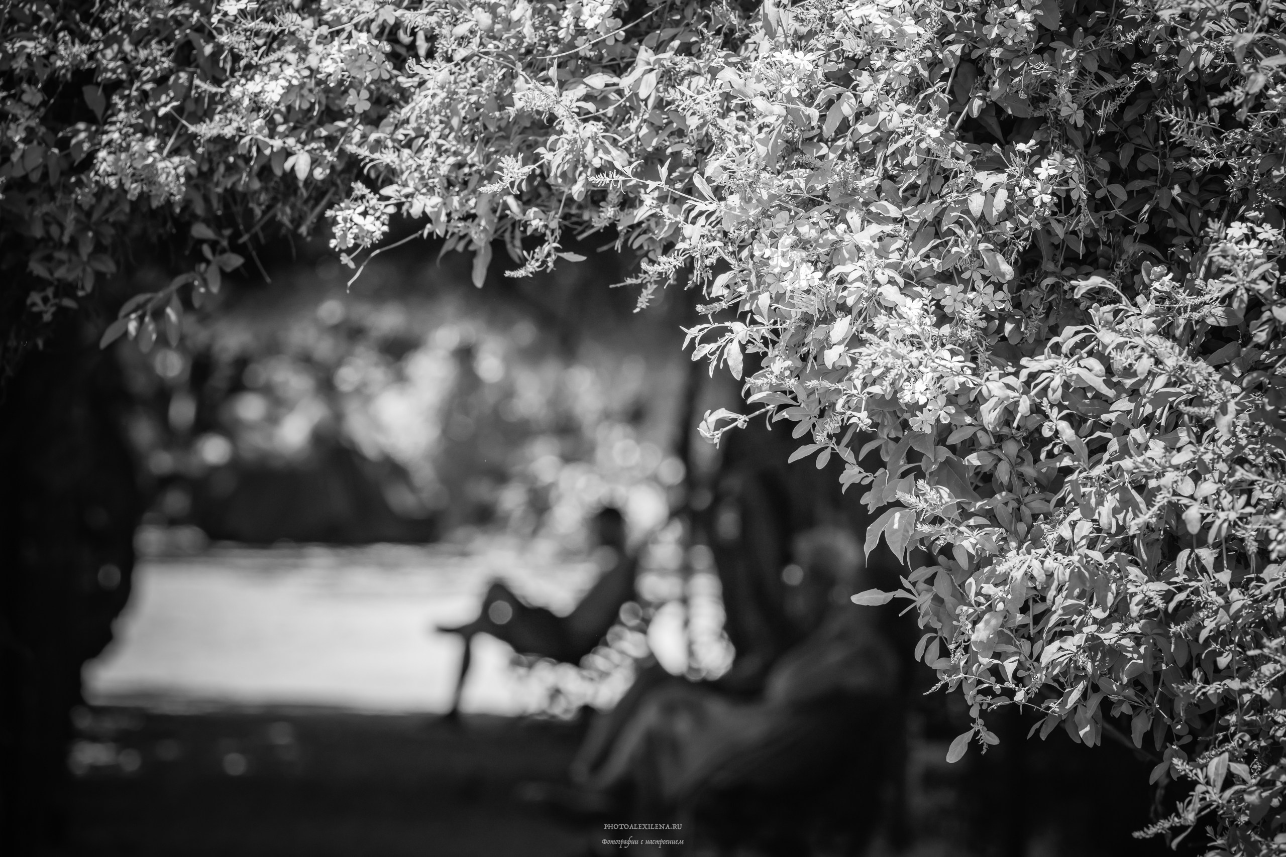 Решающий момент. Авторские стильные фотокартины