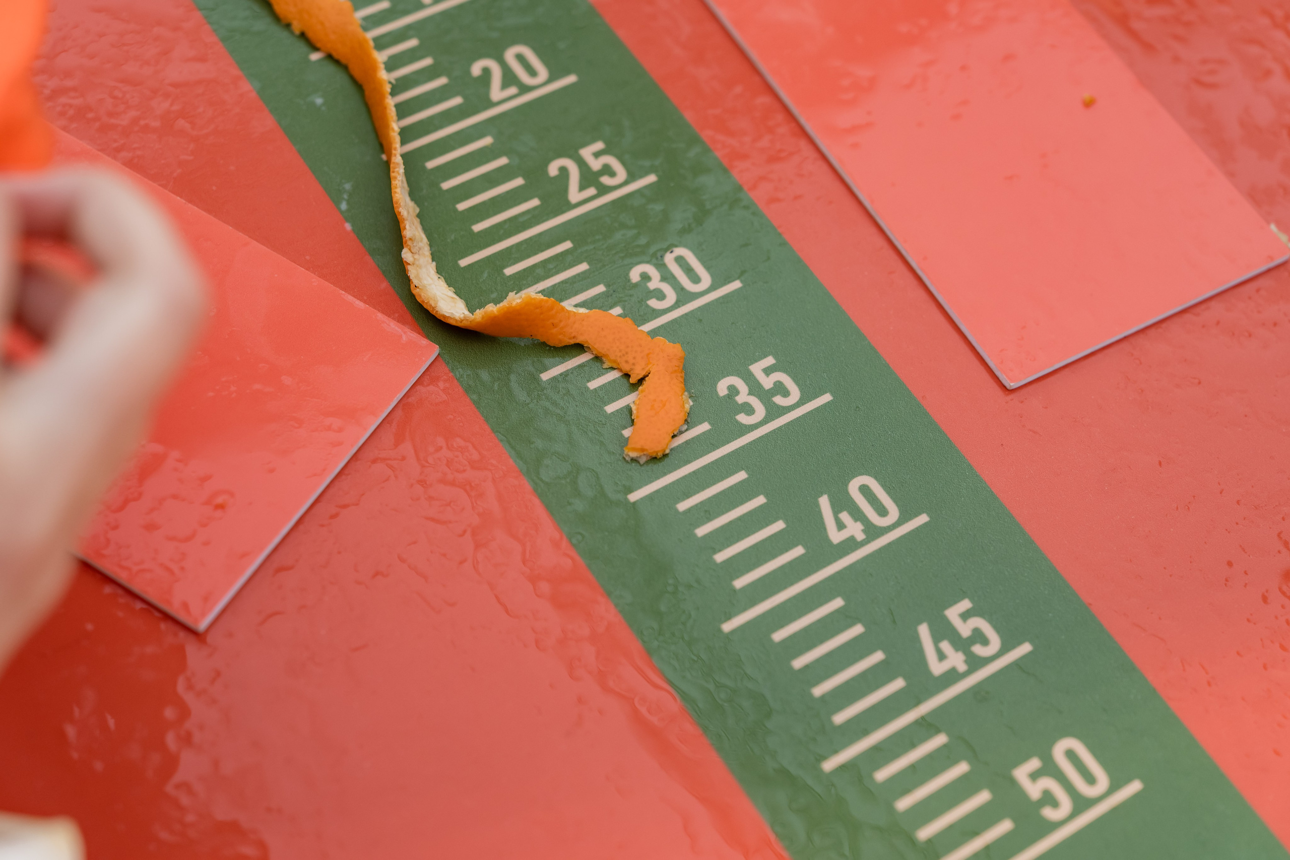 Конкурс Мандарин. Финал. Сокольники. 08.01.2025