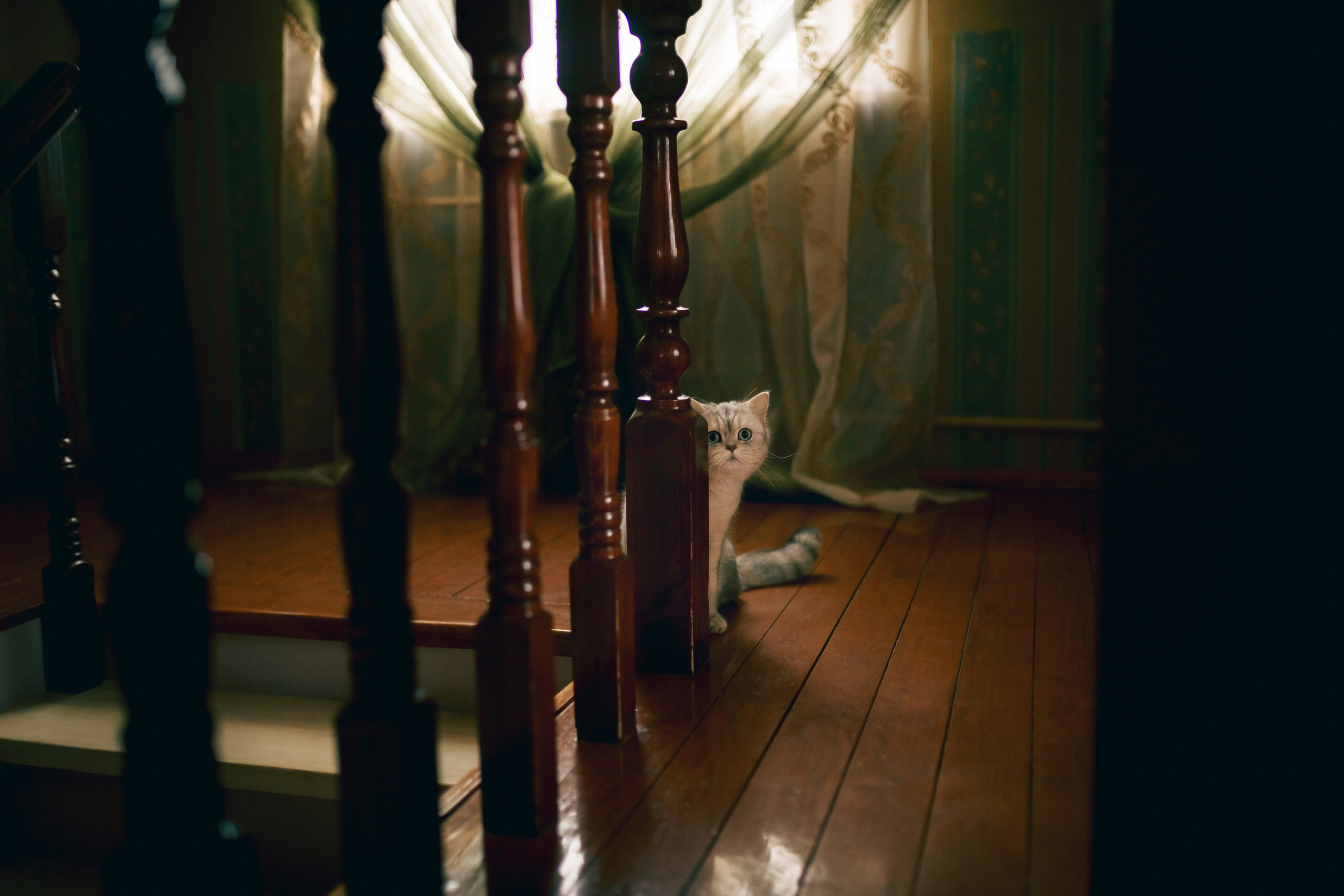 Отзывы. Фотограф в Смоленске и Москве Ирина Макарова