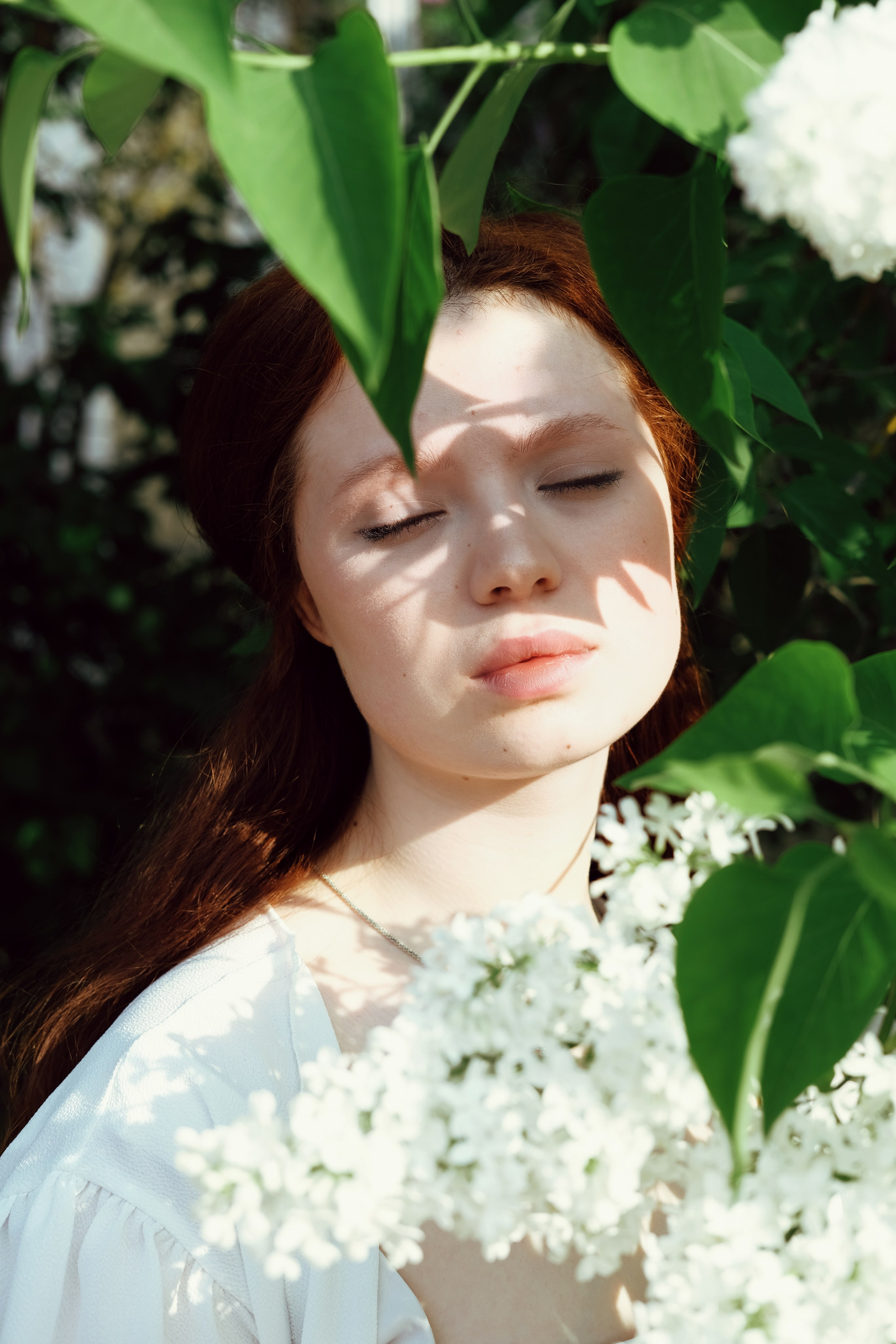  фотосессия с белой сиренью