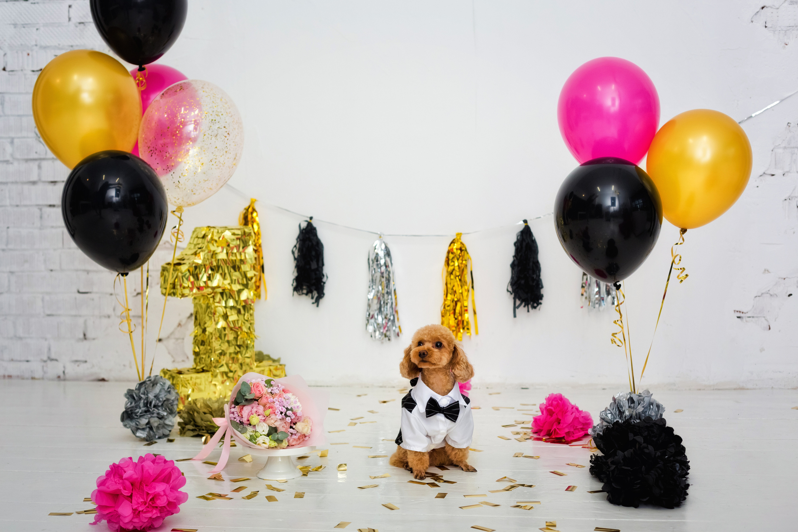 . Фотограф в Москве и Одинцово