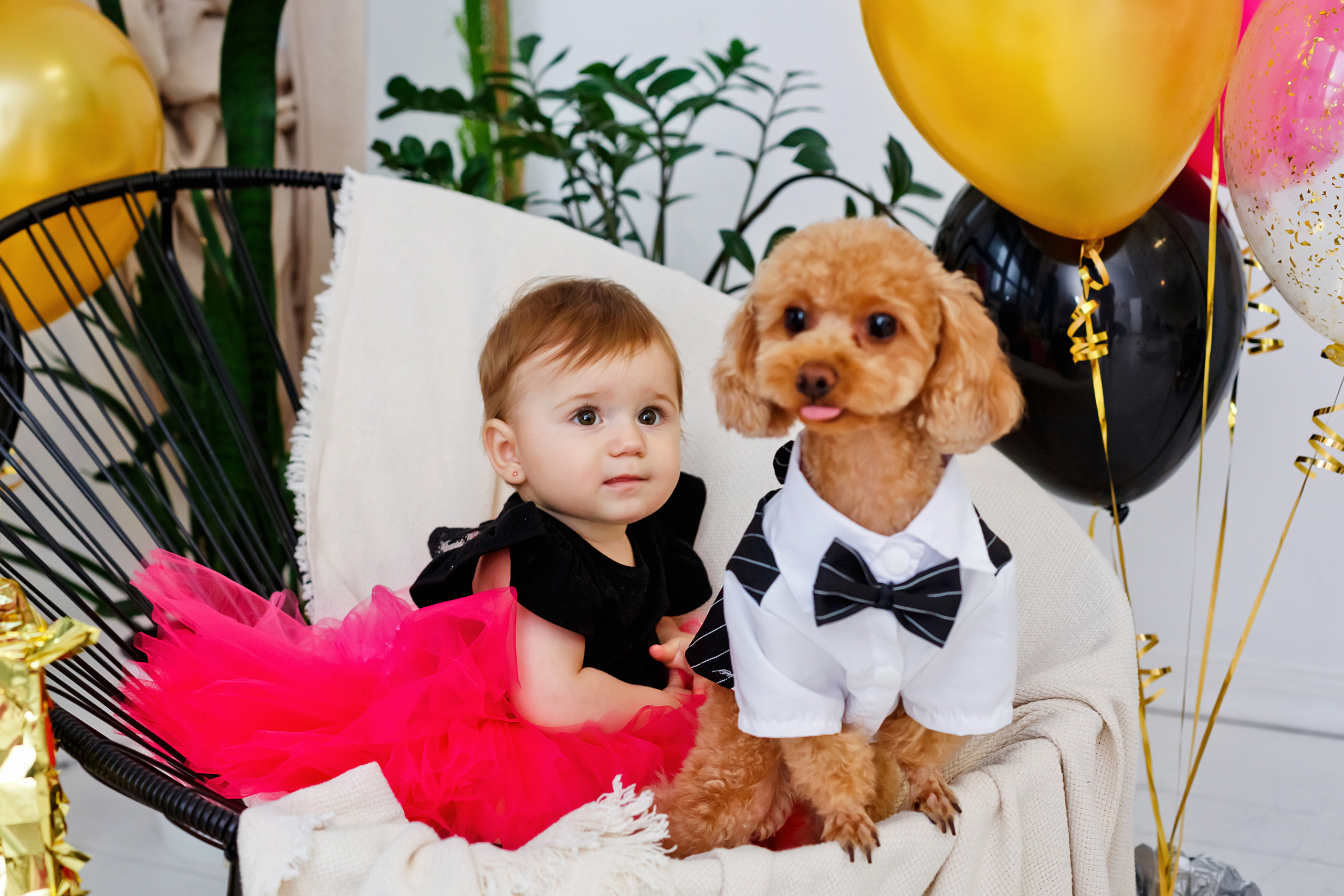 . Фотограф в Москве и Одинцово