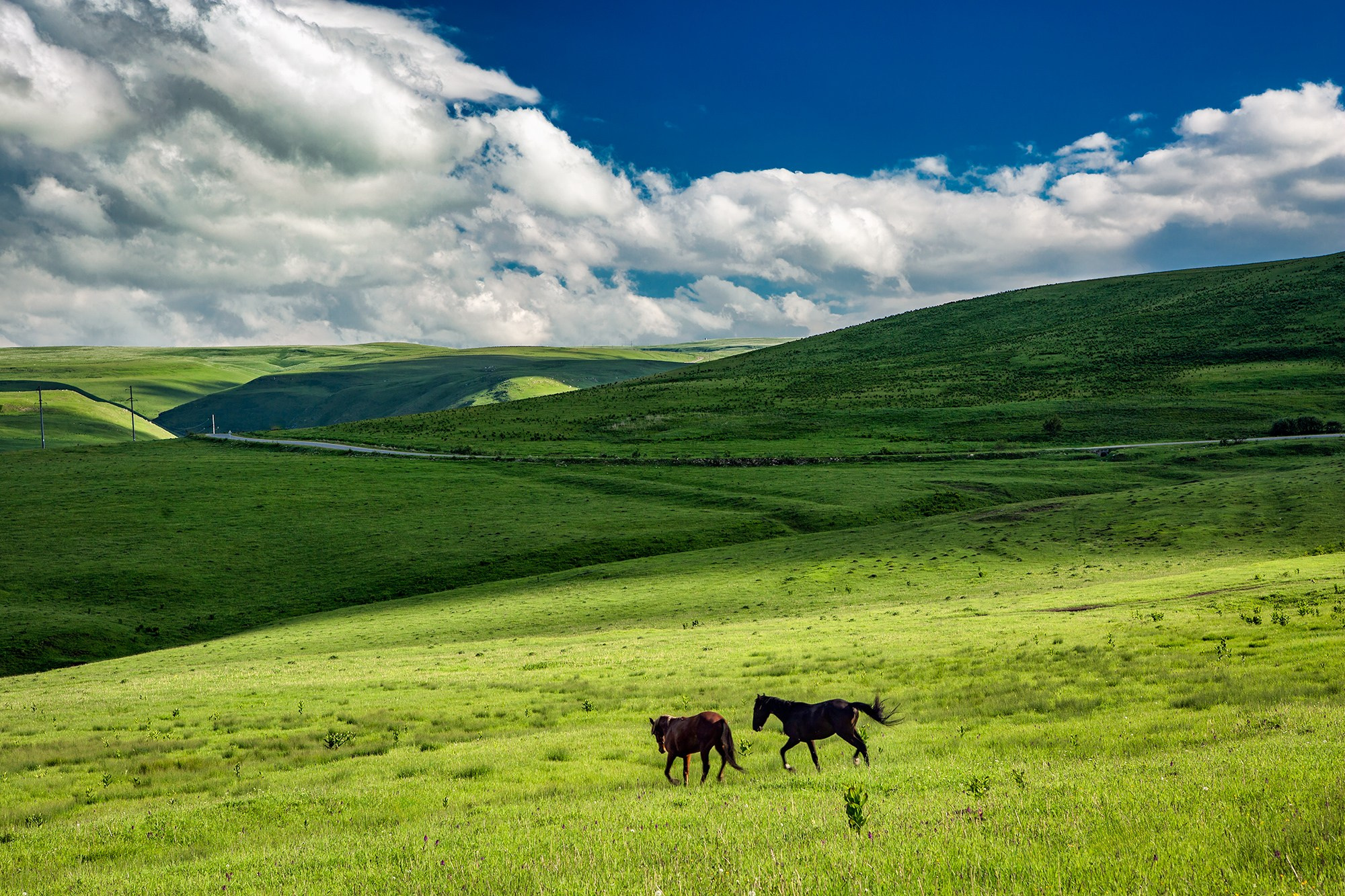 Северный Кавказ, Россия. Фотограф Владимир Остапенко