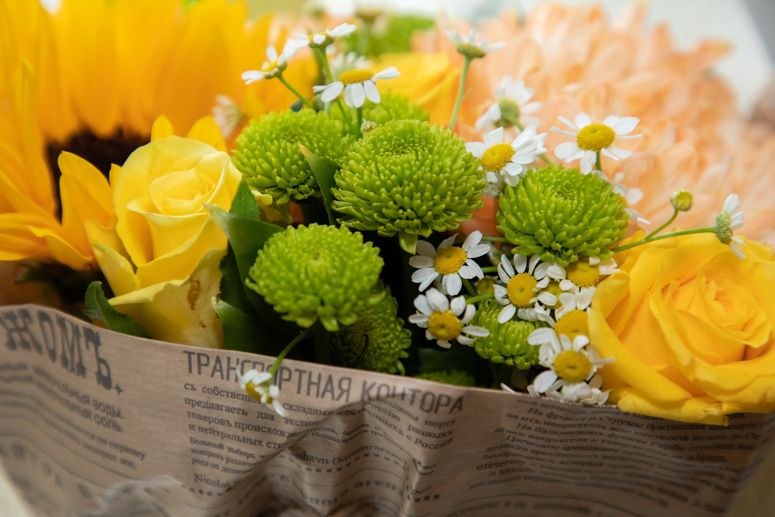 День рождения