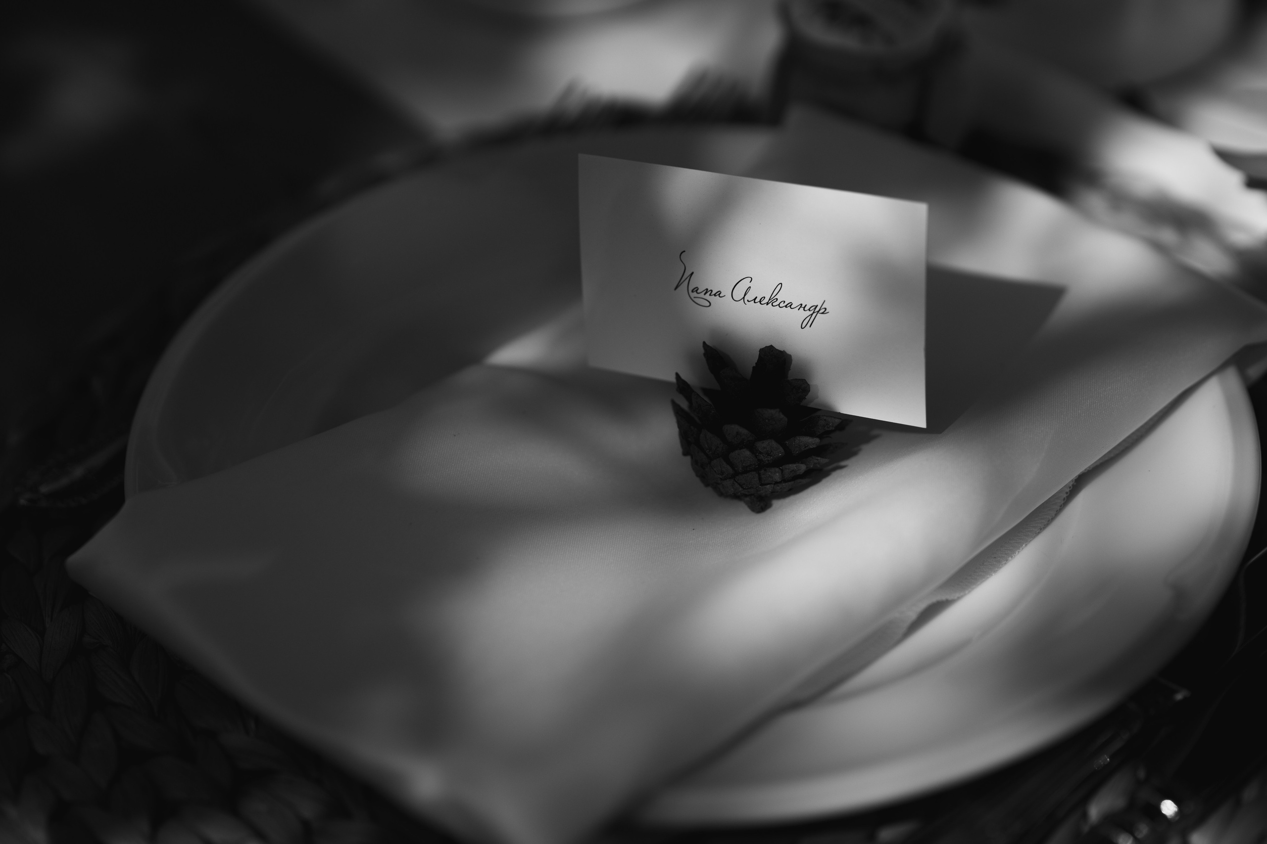 УСАДЬБА ГАНКА. Cheta Kovalevsky фотографы