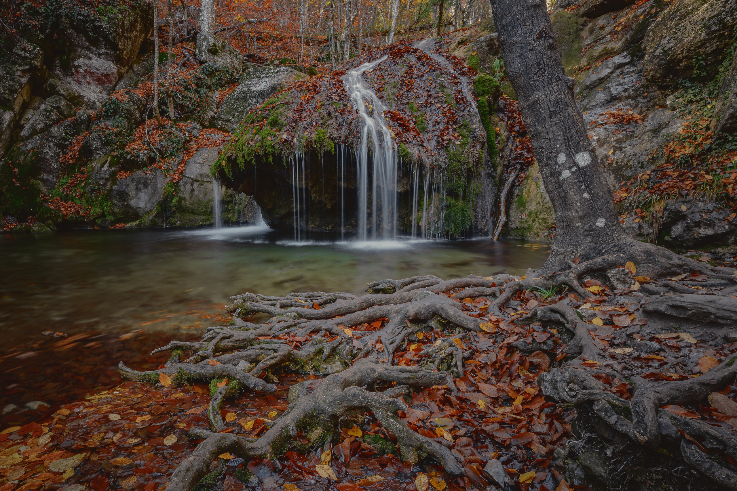 Пейзажная фотография. Фотошкола ArtFotoLife для начинающих и продвинутых фотографов