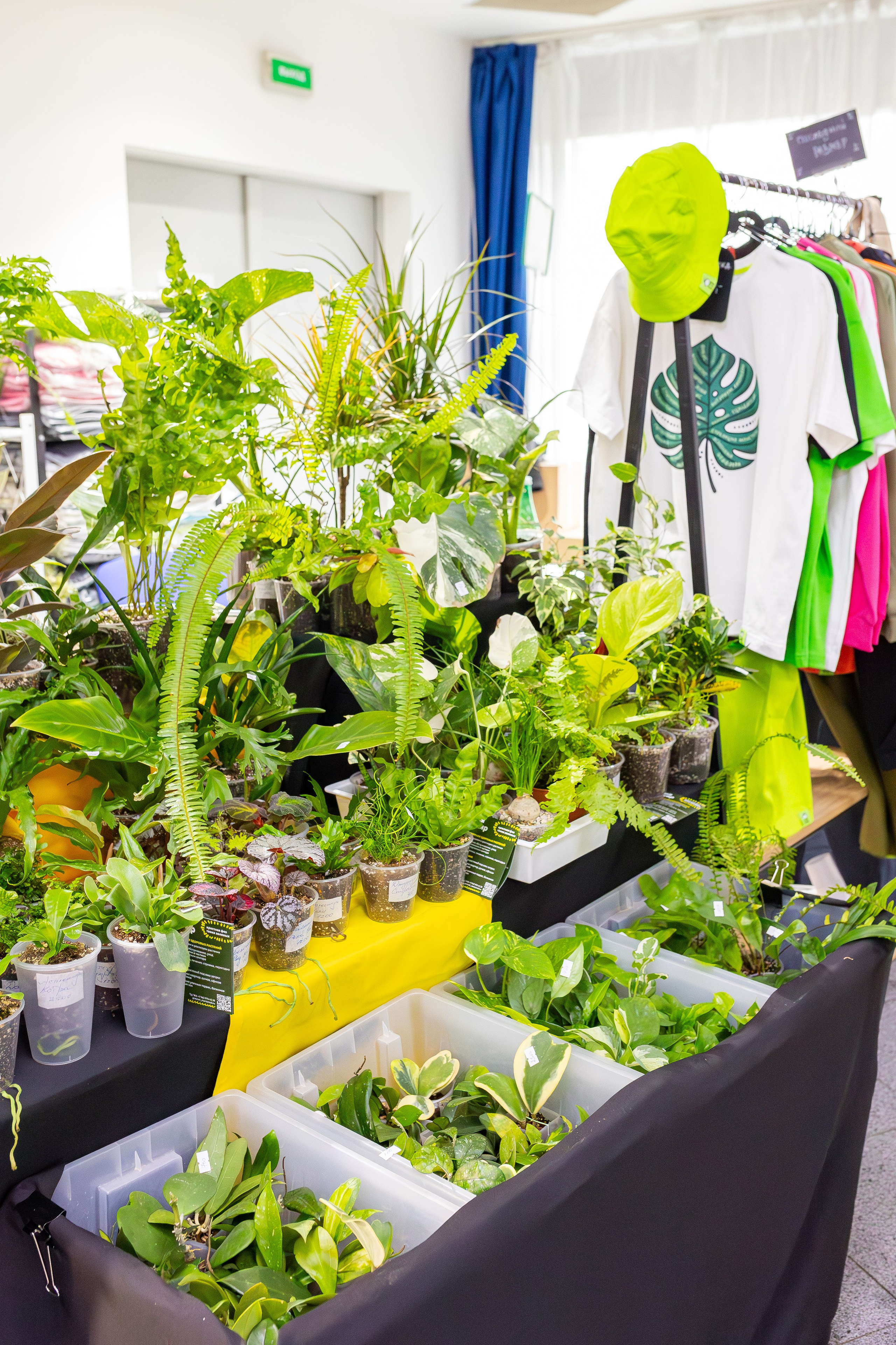 Монстериум апрель 2026. Александра Куликова фотограф, Москва