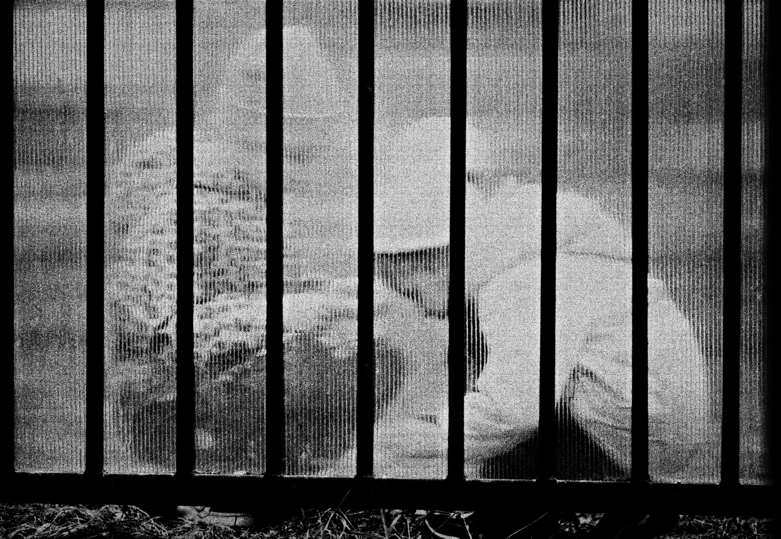 Документальная фотография. Фотохудожник Дарья Берг в Санкт-Петербурге и Москве