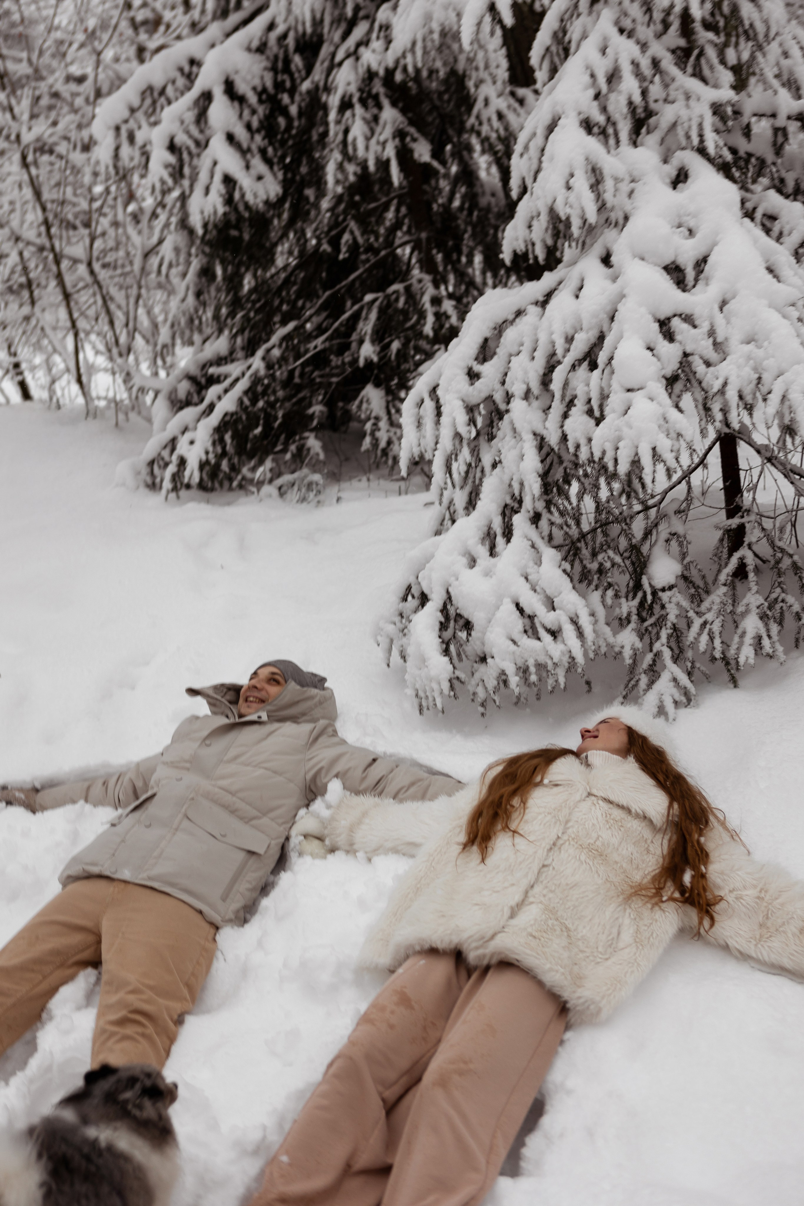 Новогодняя фотосессия с собачками в шуваловском парке. Свадебный фотограф в СПБ | Санкт-Петербурге Анастасия Рахимгулова