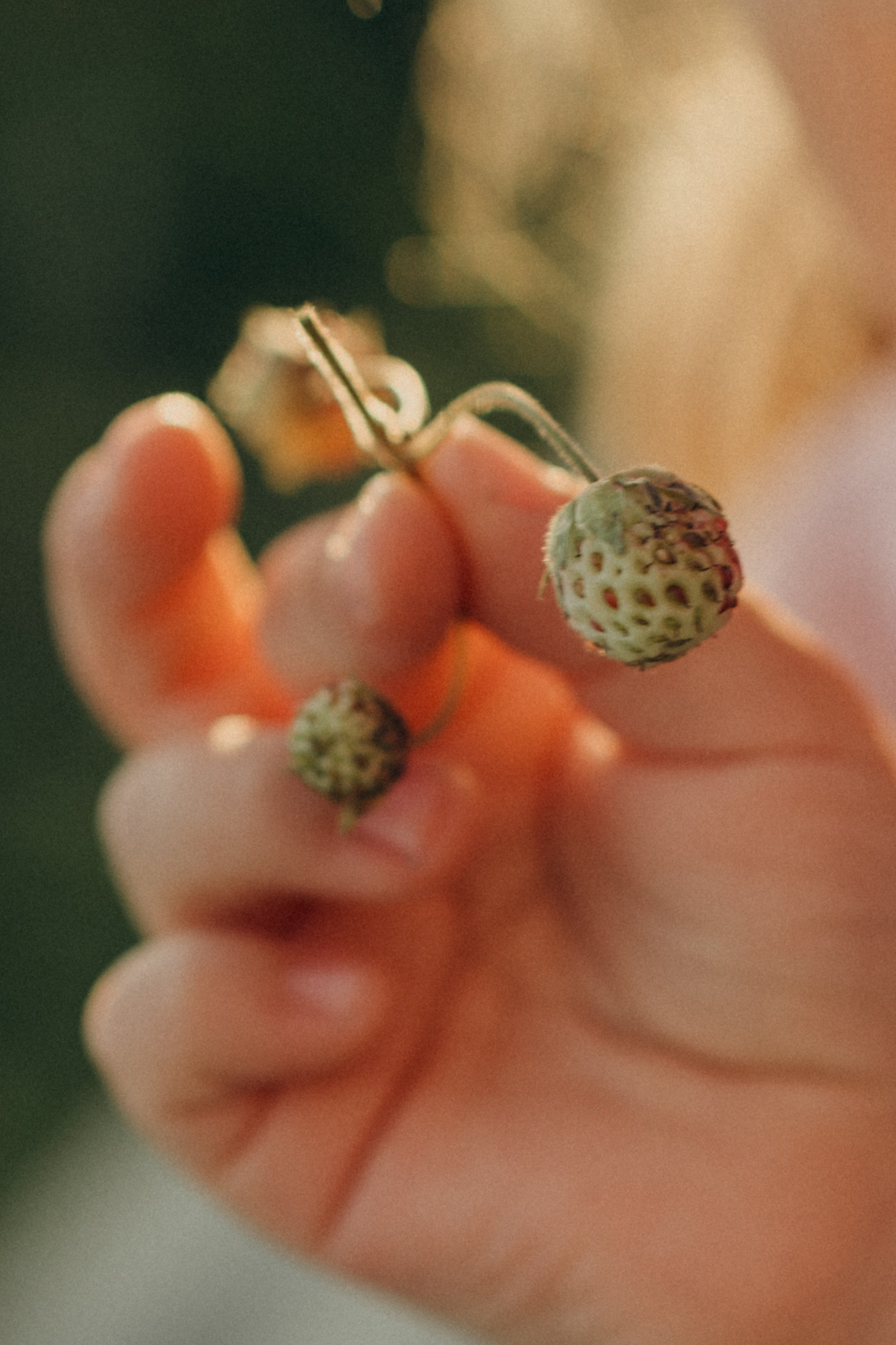 Закатная история. Семейный фотограф в Москве Елена Гильманова