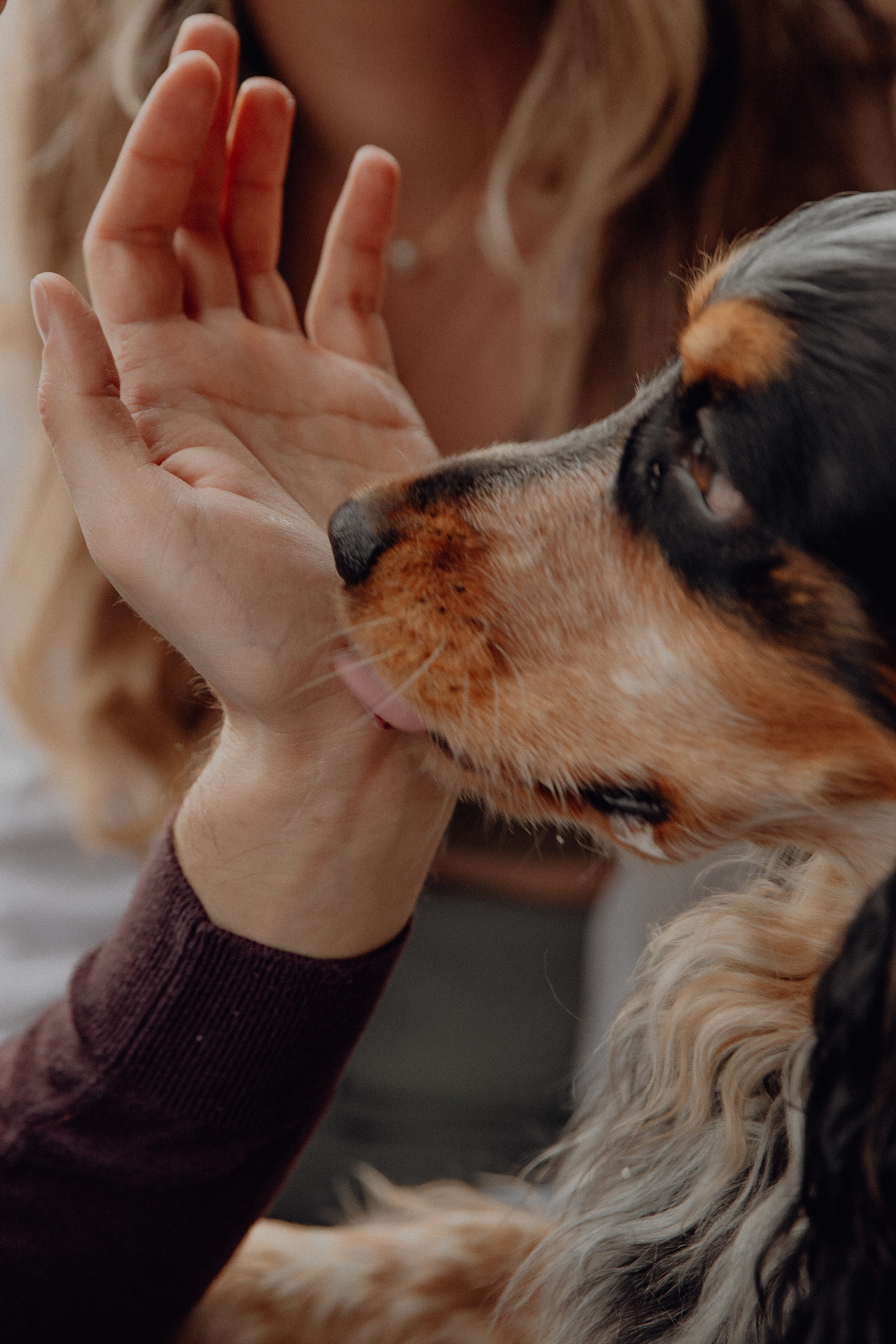 Ася ღ Заур. Портфолио