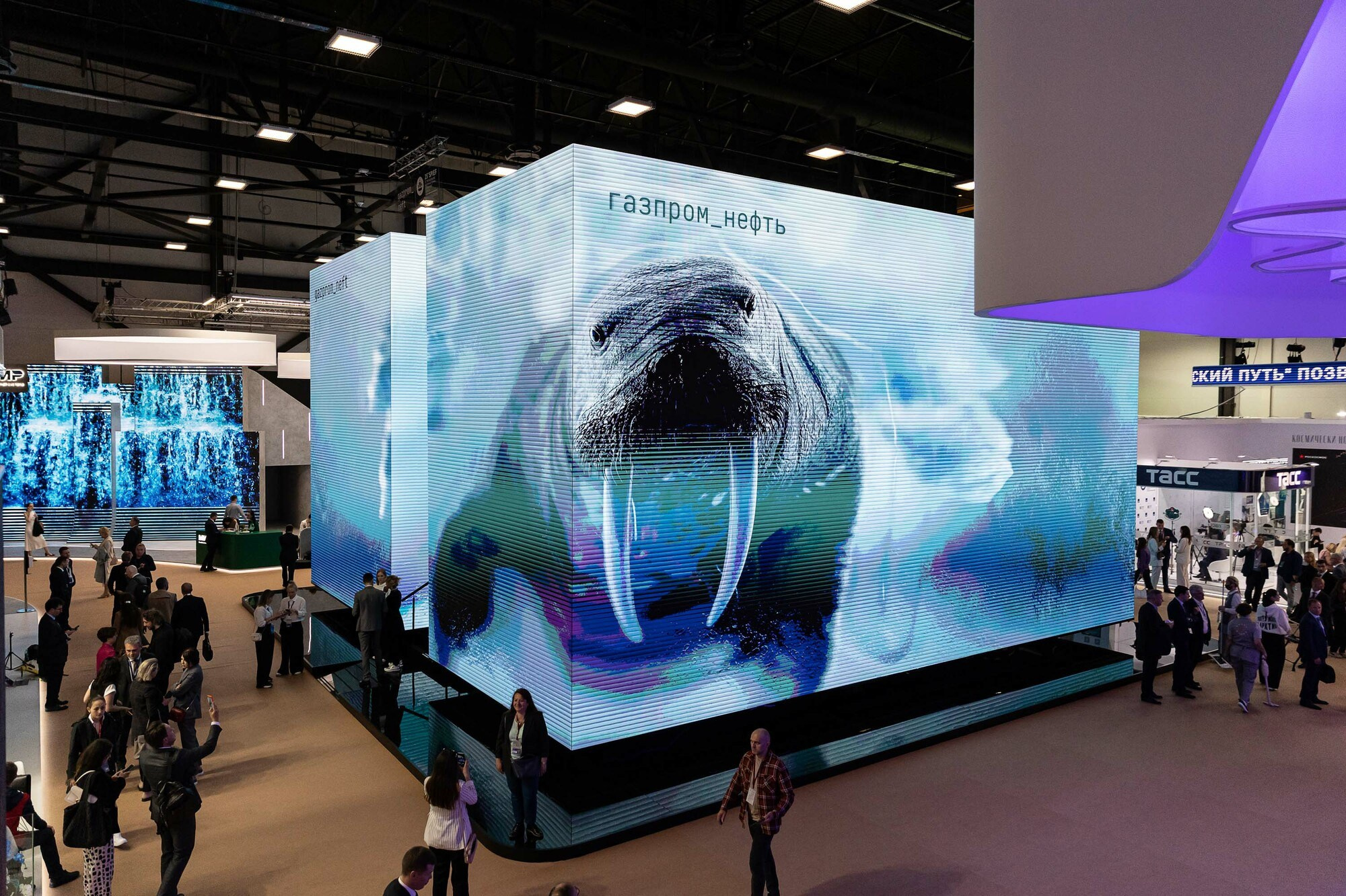 Репортаж с Петербургского международного экономического форума