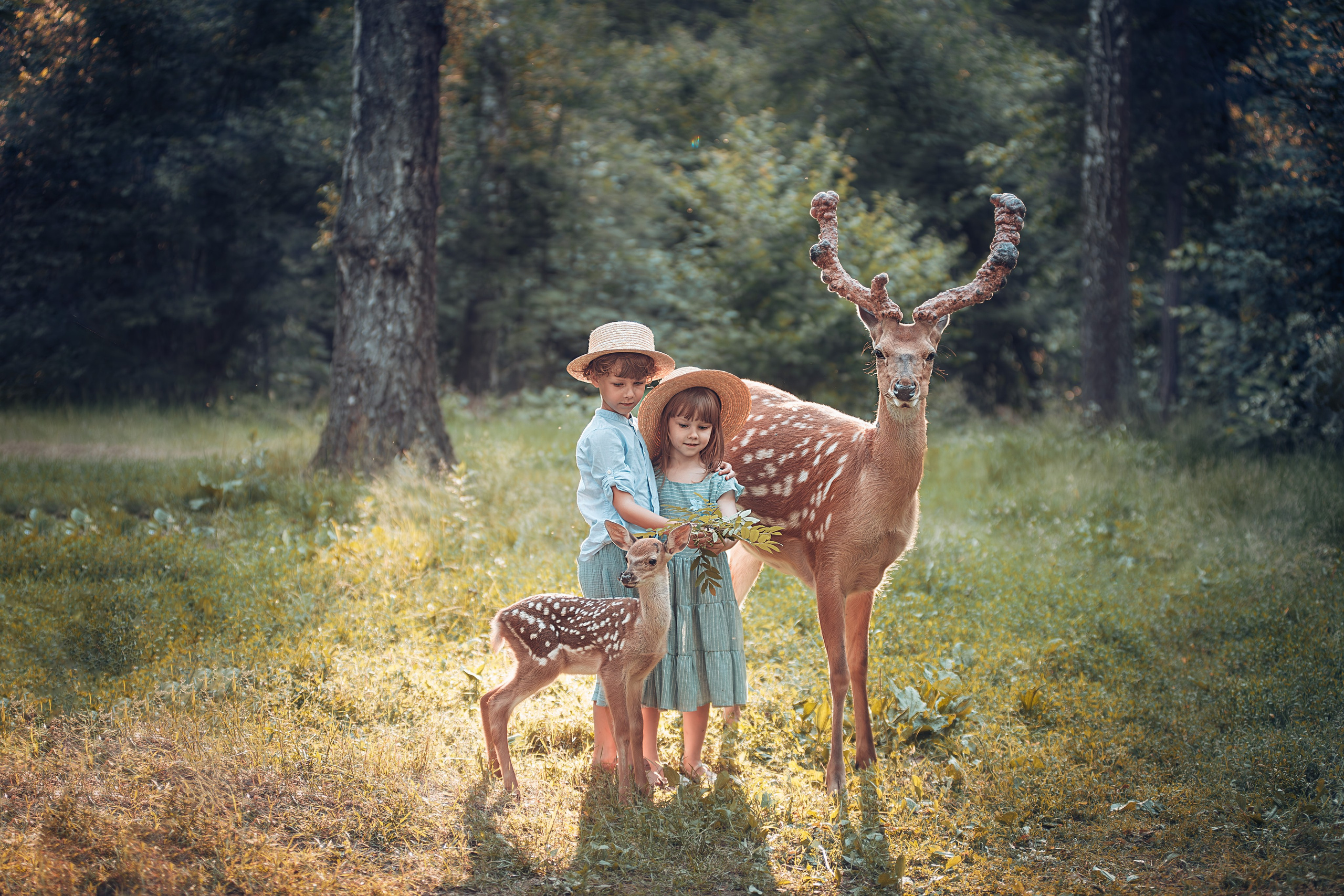 Фотосессия с оленями