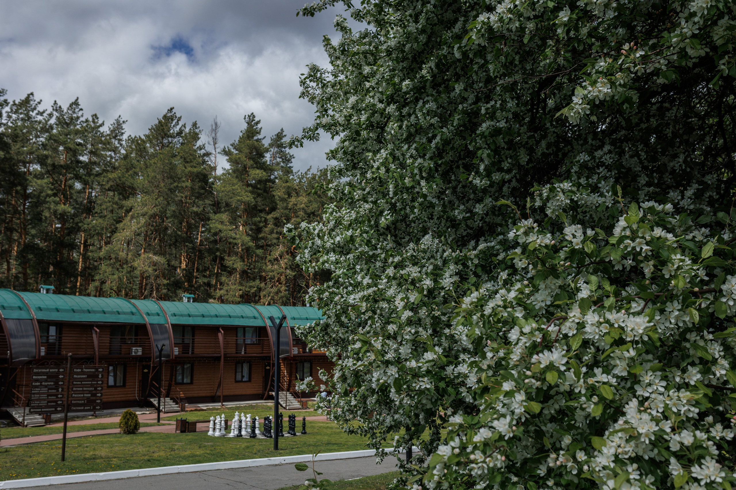 База отдыха «Металлург». Фотограф городских и семейных событий в Нижнем Новгороде Артем Карпухин