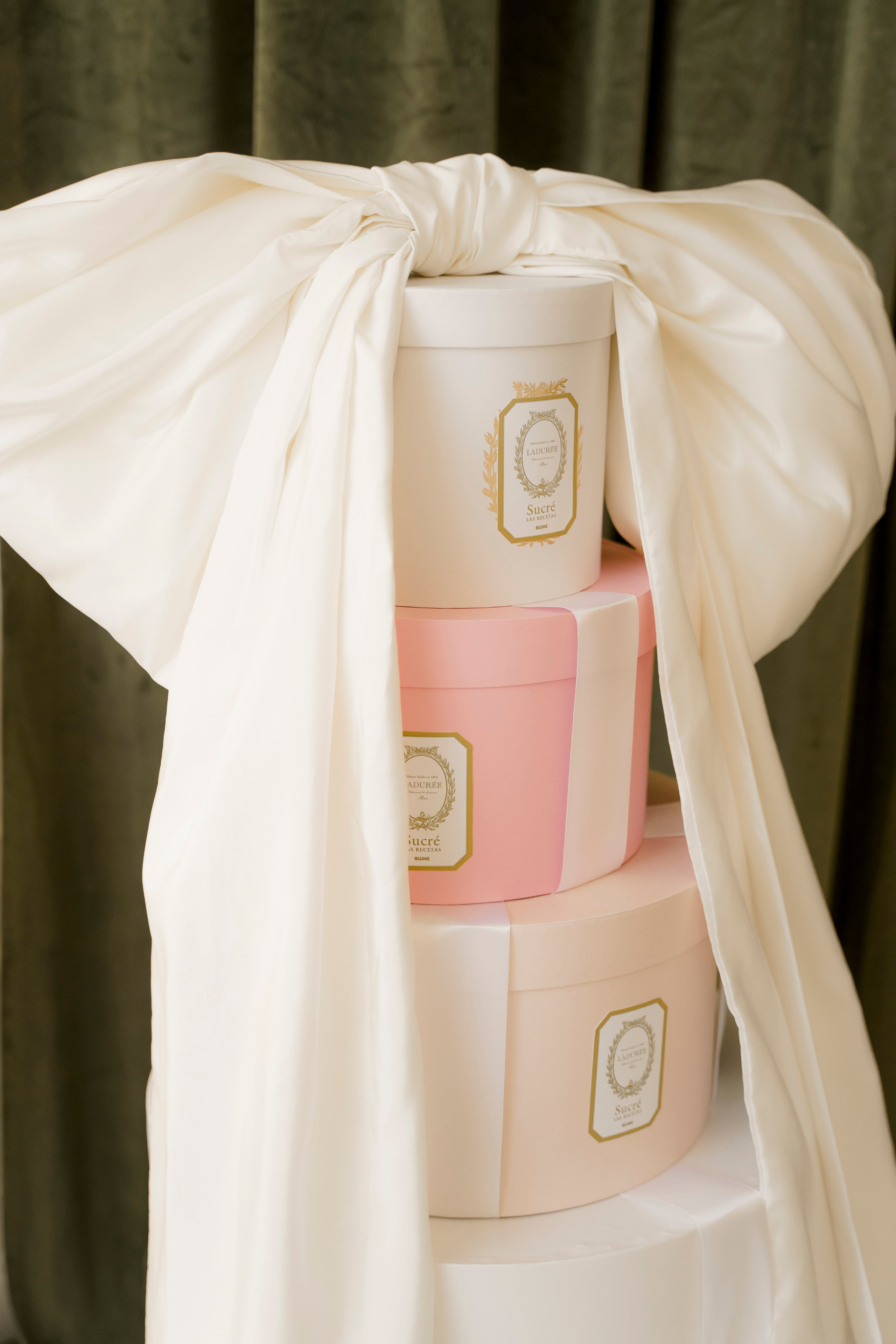 GREEN HALL. Детский семейный фотограф Краснодар