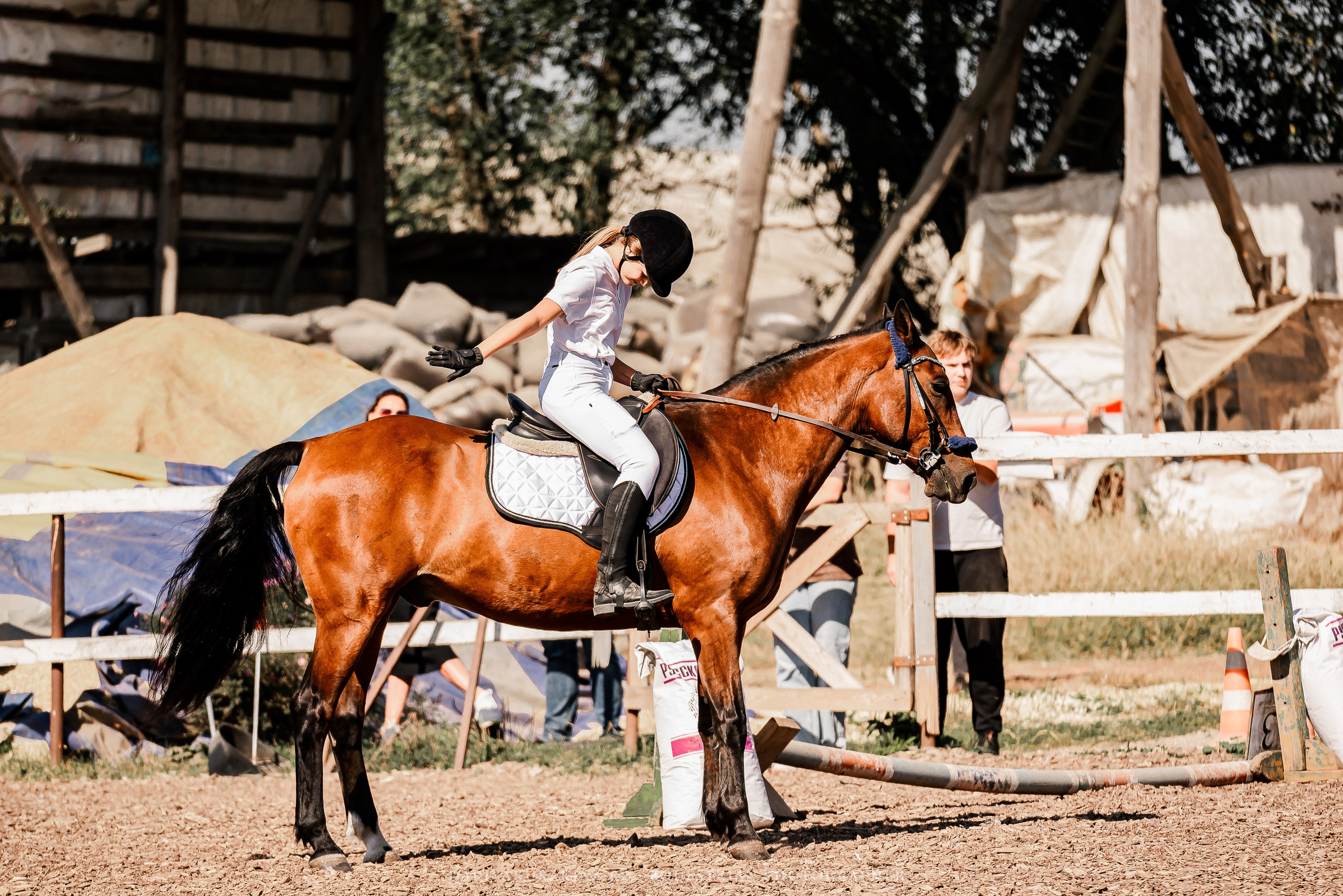 Соревнования по конкуру в КБ «КАЗАЧИЙ ДОЗОР». Конный фотограф Куракина Дарья • Фотосессии с лошадьми