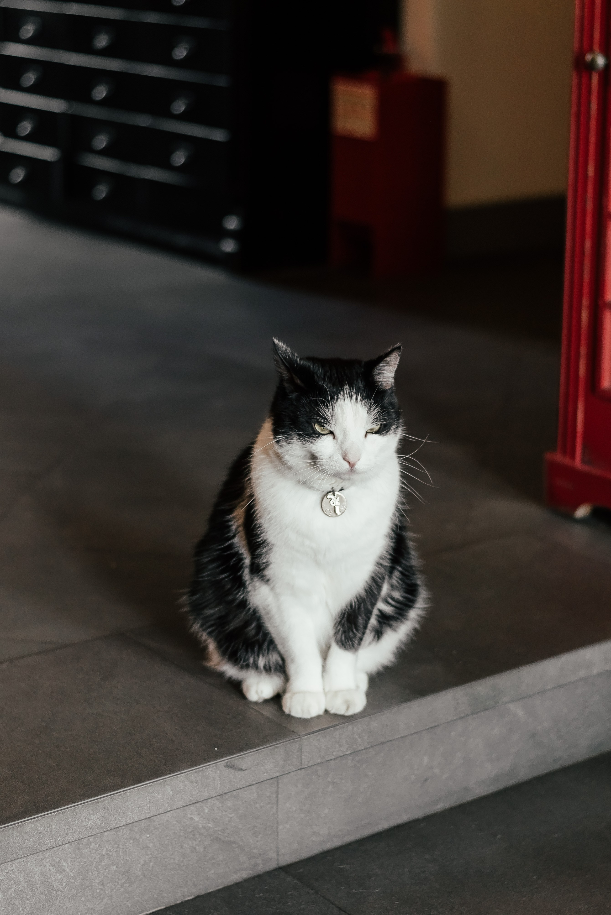 Станислав и Татьяна. Свадебный фотограф в Ростове Александра Груздева