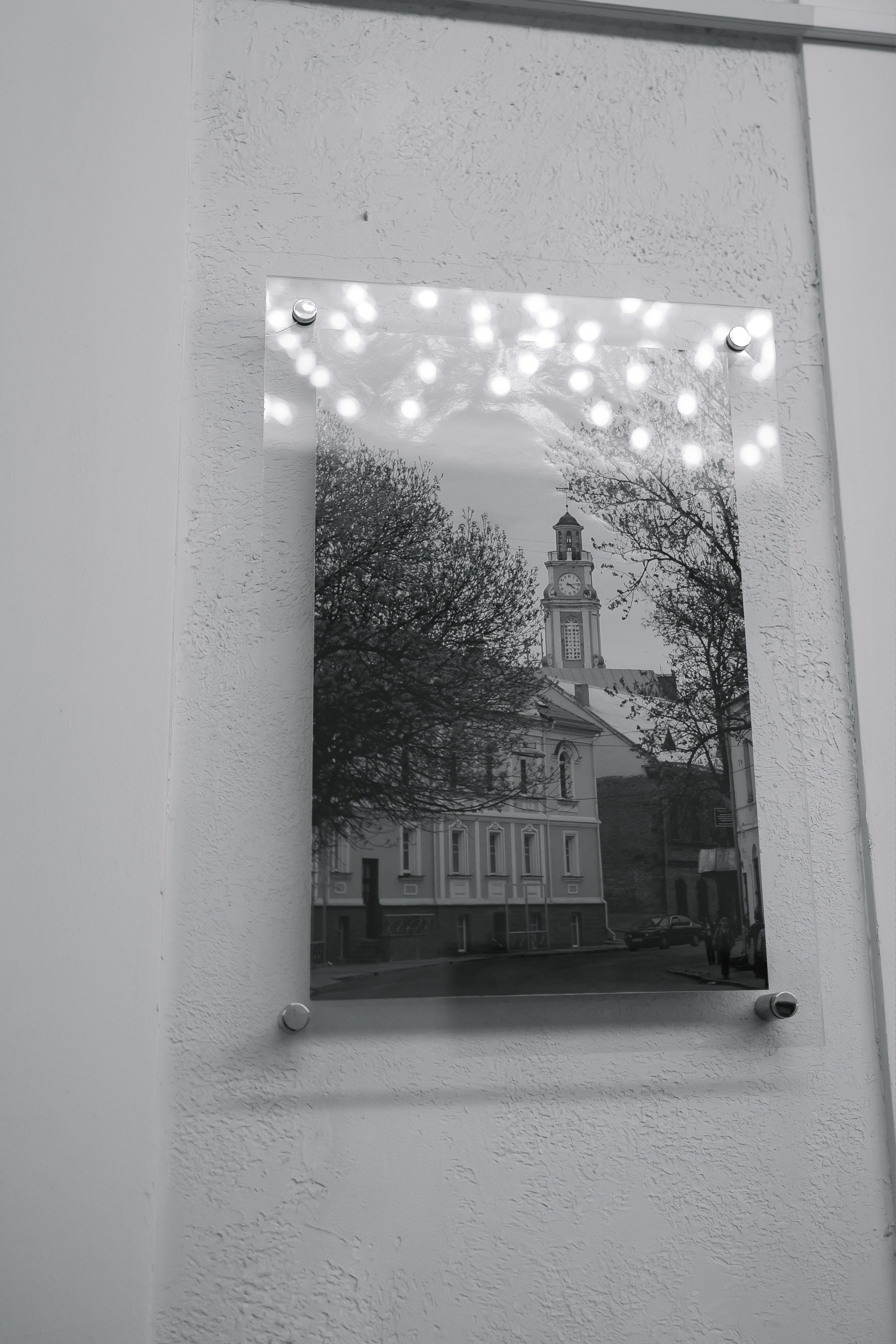 Даниил/Екатерина. Свадебный фотограф