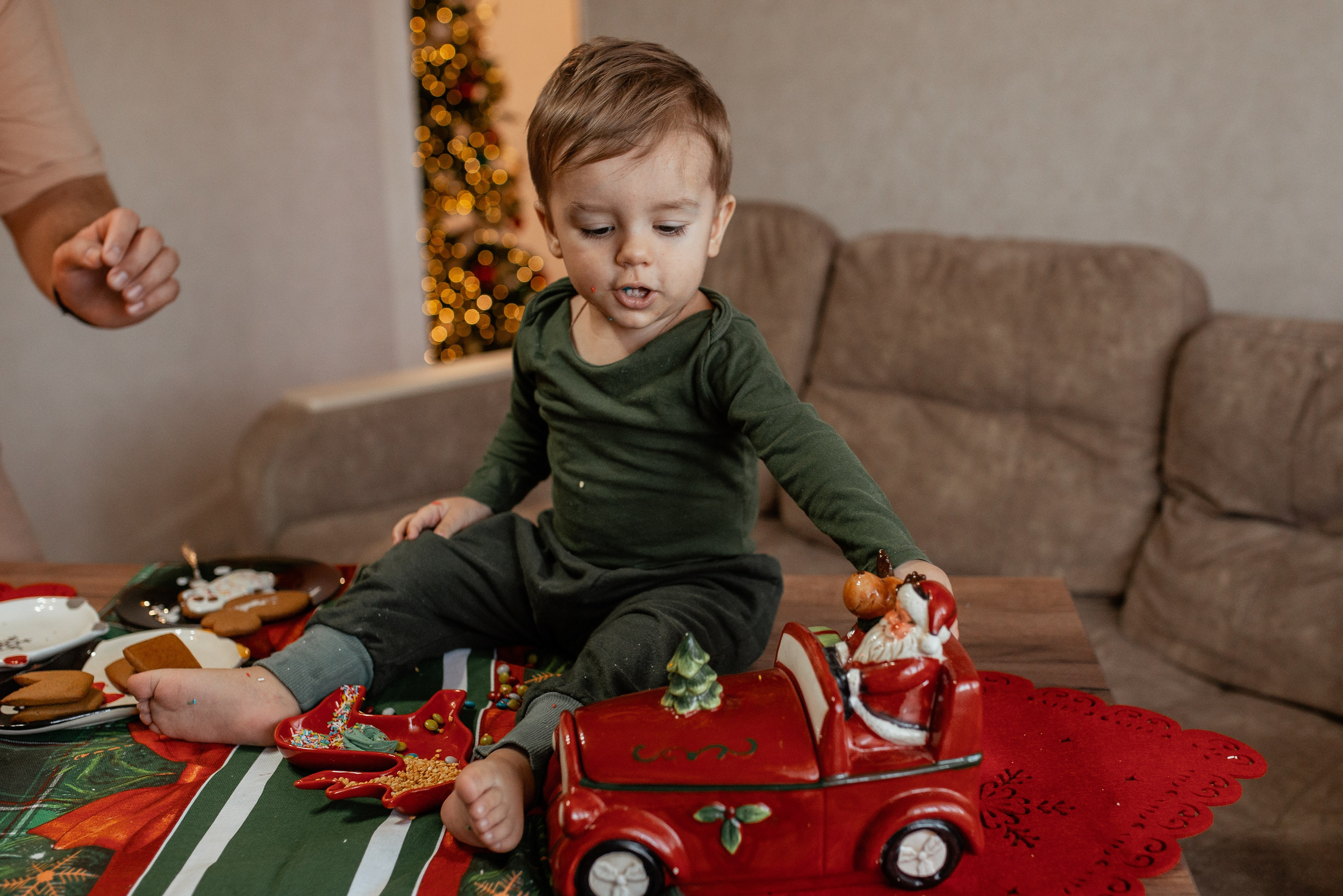 Домашняя новогодняя. Галина Чекунова Фотограф в Ростове-на-Дону