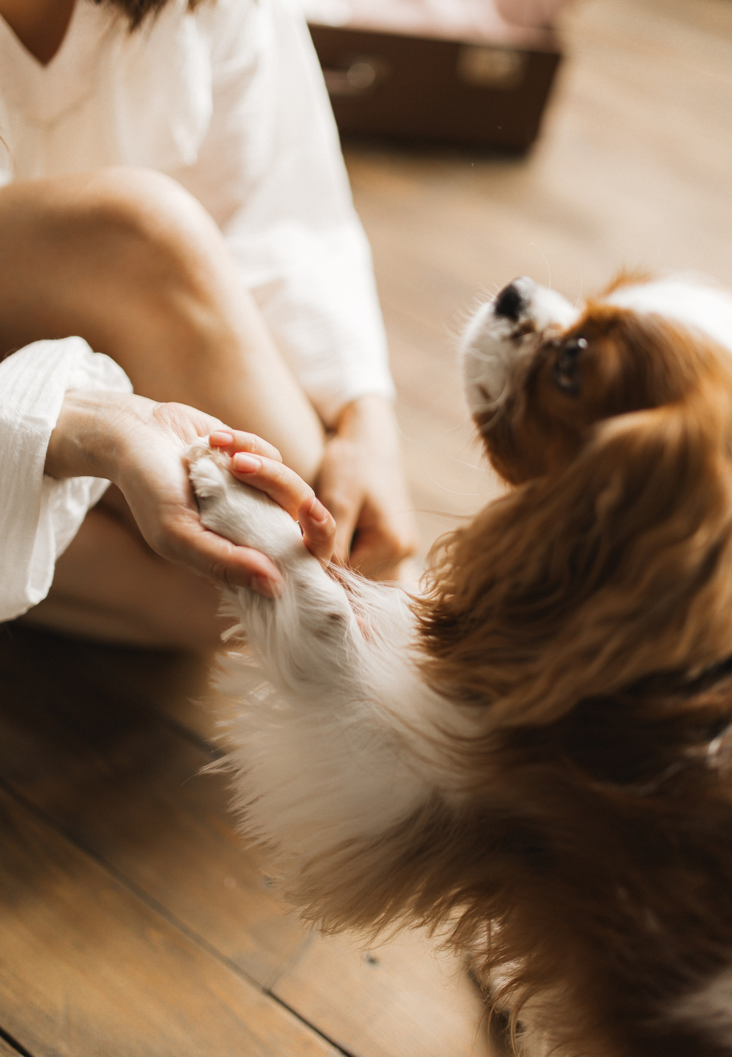Дарина и Лада. Семейный и свадебный фотограф в Екатеринбурге Орлова Ирина