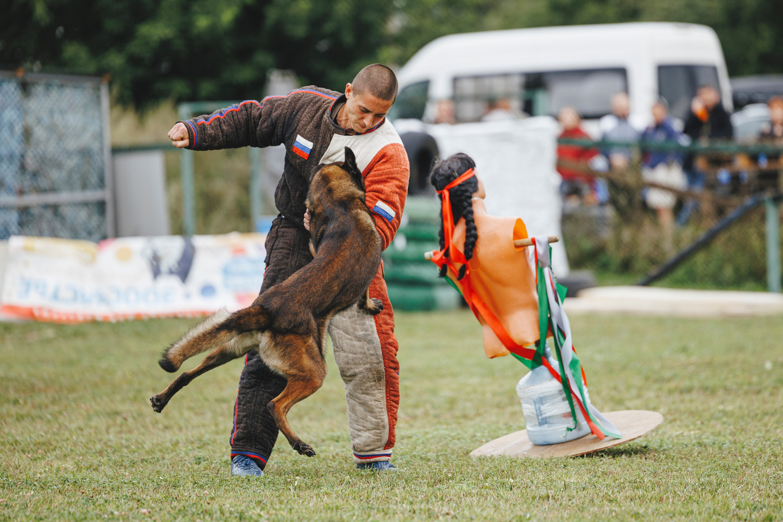 08.08.25-10.08.25 ЧР по мондьорингу г. Вологда. Фотограф-анималист Анна Маринич